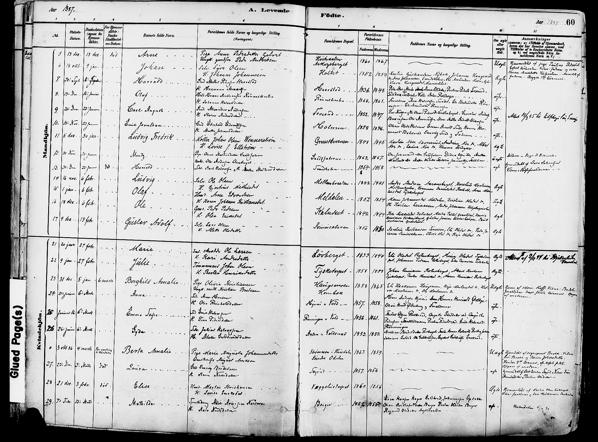 Grue prestekontor, SAH/PREST-036/H/Ha/Haa/L0012: Parish register (official) no. 12, 1881-1897, p. 60