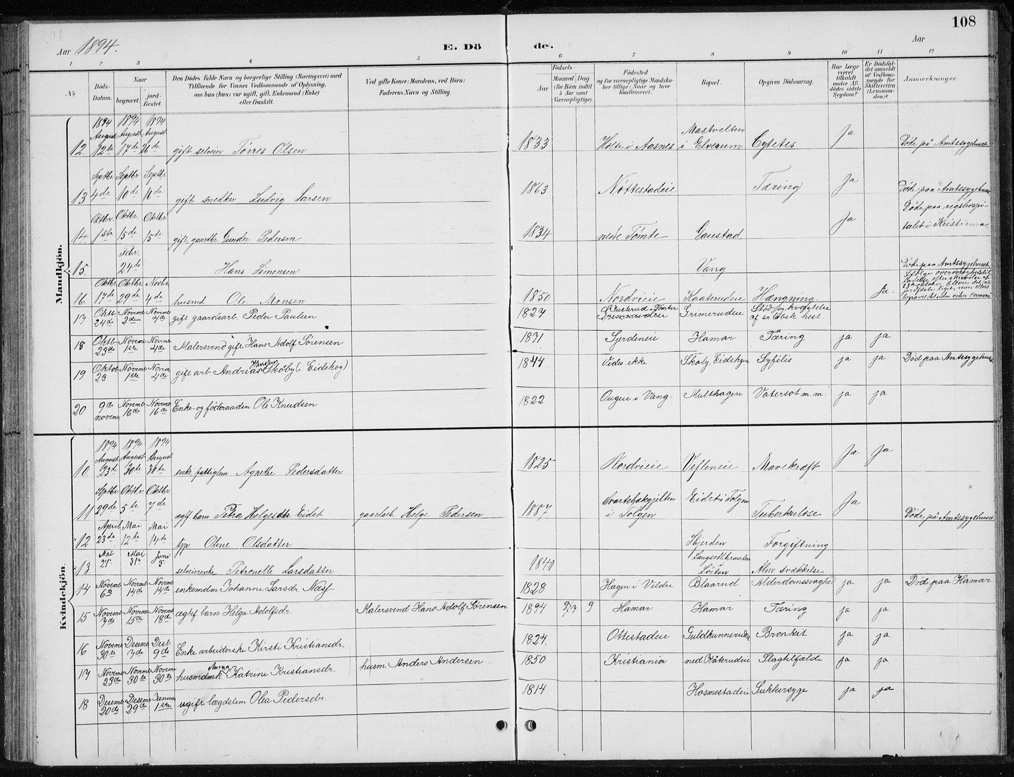 Stange prestekontor, AV/SAH-PREST-002/L/L0010: Parish register (copy) no. 10, 1894-1905, p. 108