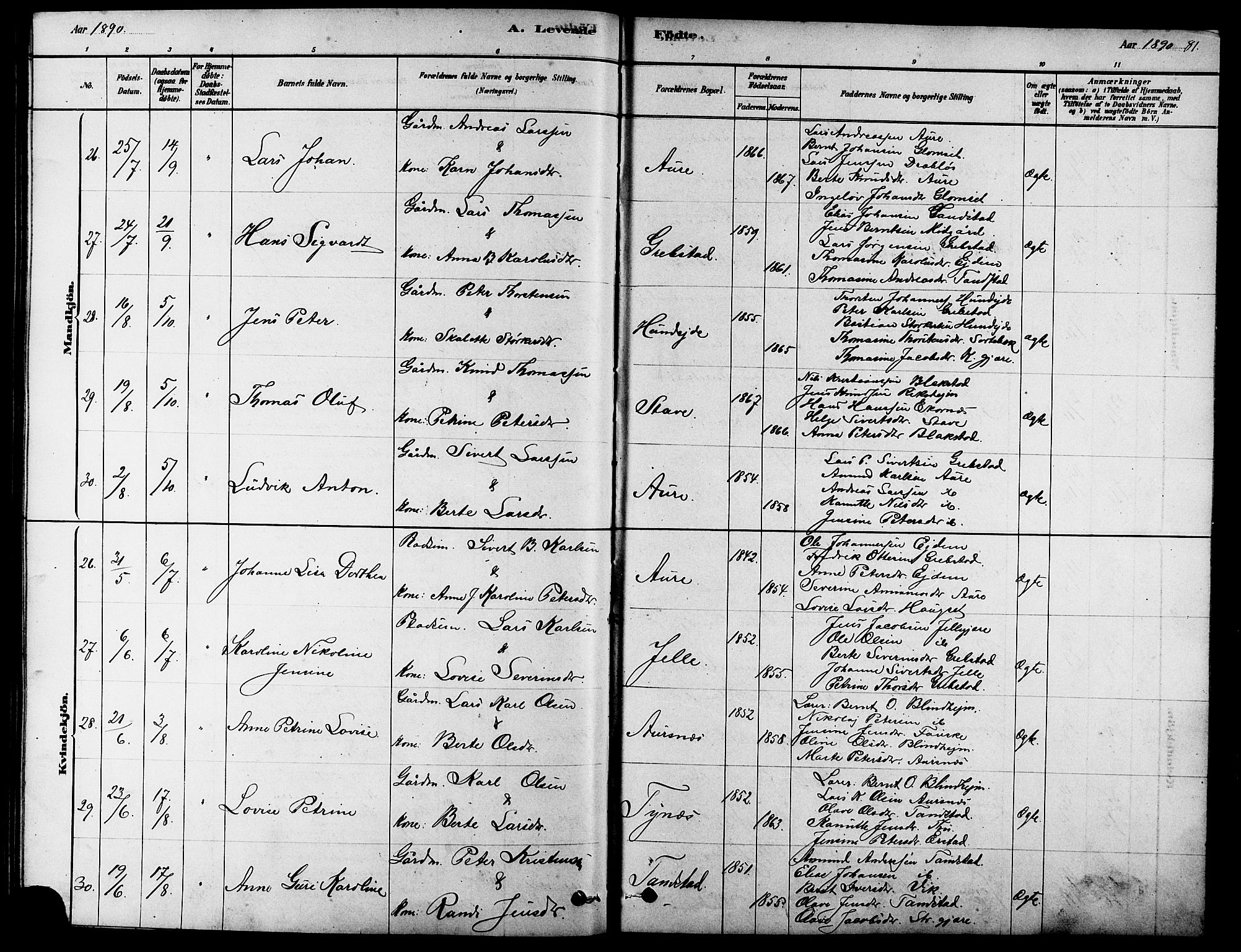 Ministerialprotokoller, klokkerbøker og fødselsregistre - Møre og Romsdal, AV/SAT-A-1454/523/L0339: Parish register (copy) no. 523C02, 1878-1891, p. 81