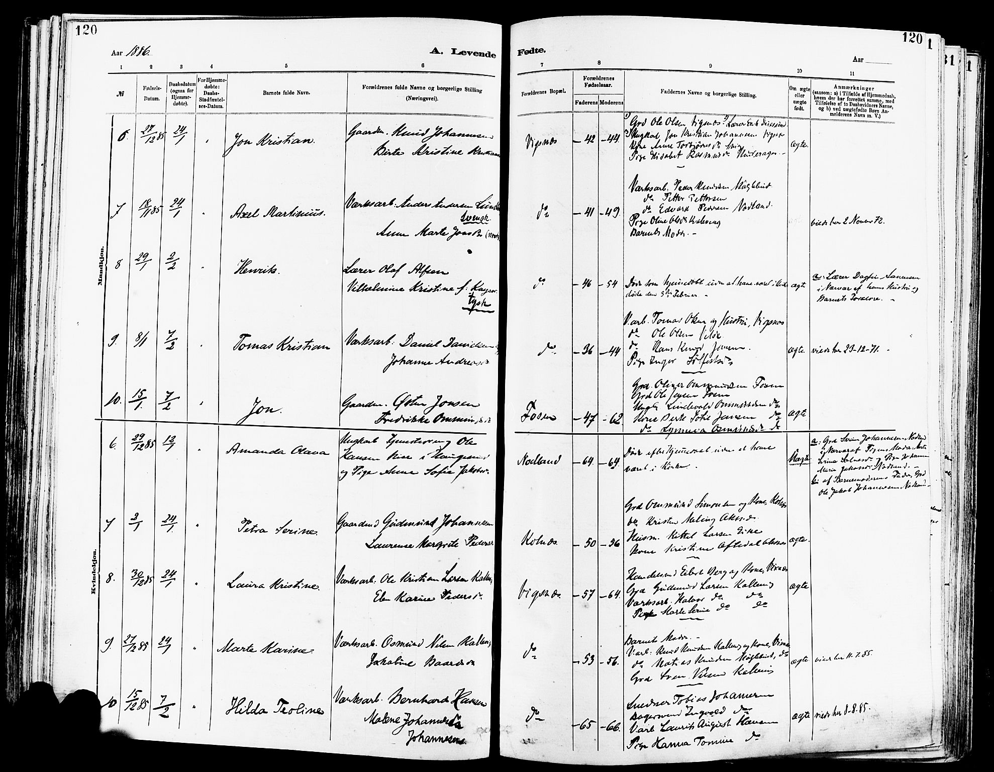 Avaldsnes sokneprestkontor, SAST/A -101851/H/Ha/Haa/L0014: Parish register (official) no. A 14, 1880-1889, p. 120