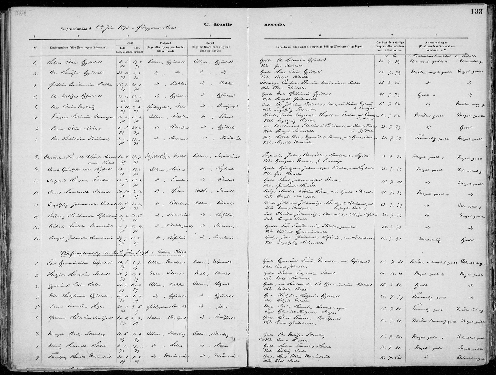 Tinn kirkebøker, SAKO/A-308/F/Fa/L0007: Parish register (official) no. I 7, 1878-1922, p. 133