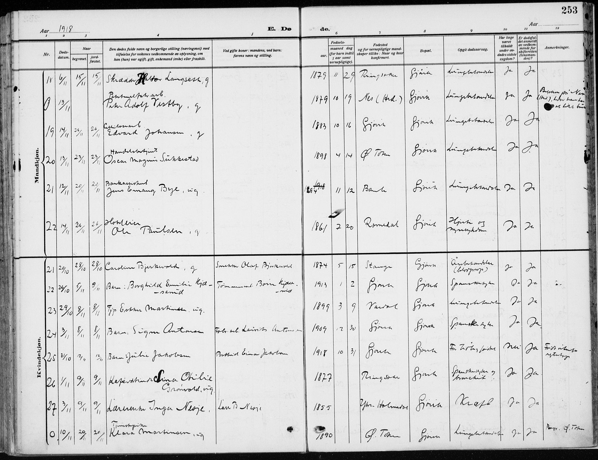 Vardal prestekontor, AV/SAH-PREST-100/H/Ha/Haa/L0014: Parish register (official) no. 14, 1912-1922, p. 253