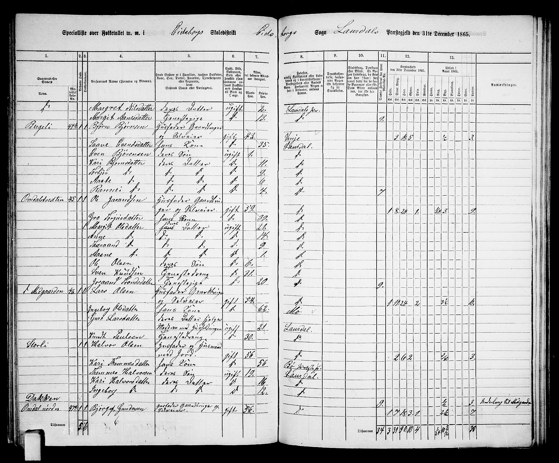 RA, 1865 census for Lårdal, 1865, p. 34
