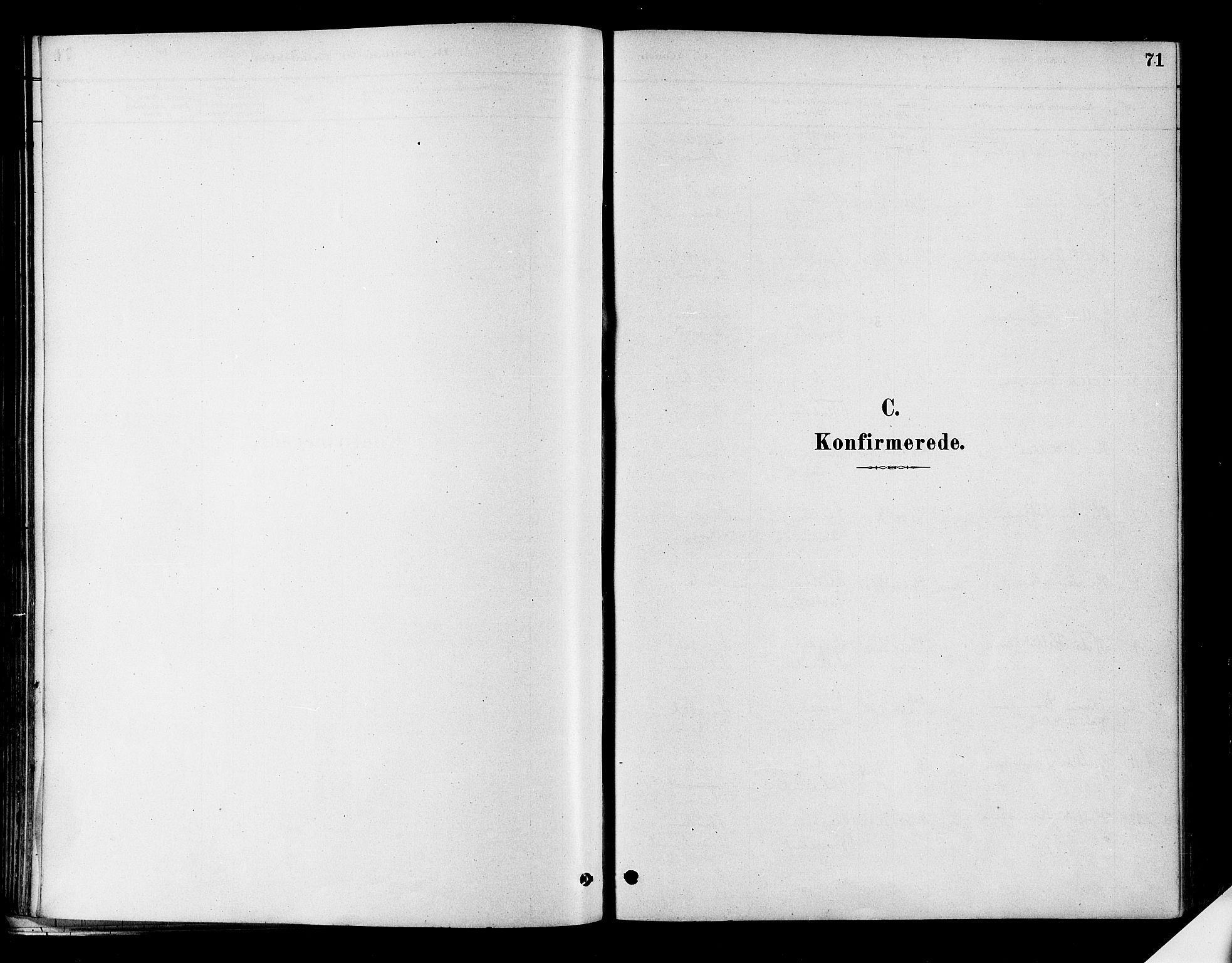 Flesberg kirkebøker, AV/SAKO-A-18/F/Fa/L0008: Parish register (official) no. I 8, 1879-1899, p. 71