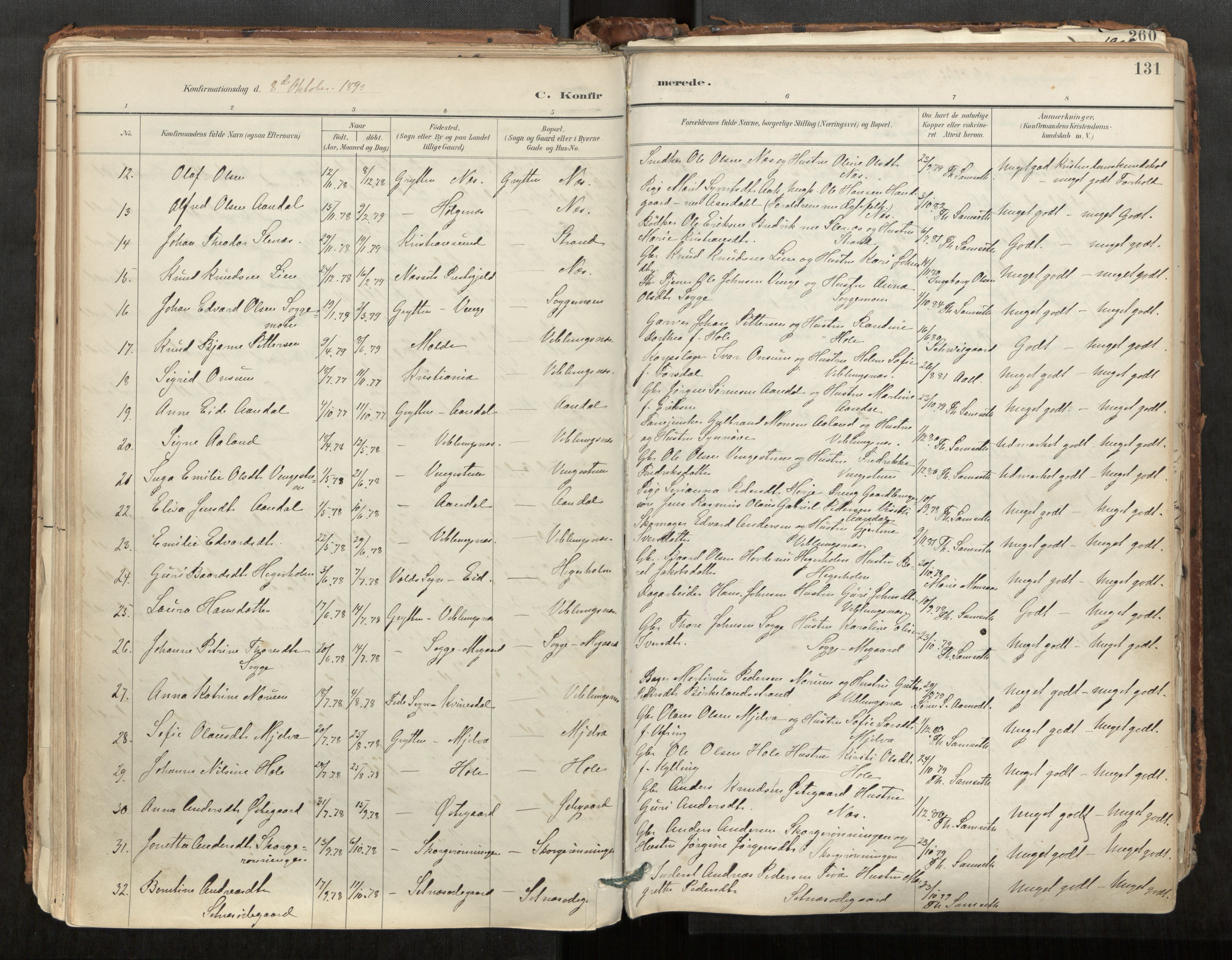 Ministerialprotokoller, klokkerbøker og fødselsregistre - Møre og Romsdal, AV/SAT-A-1454/544/L0585: Parish register (official) no. 544A06, 1887-1924, p. 131