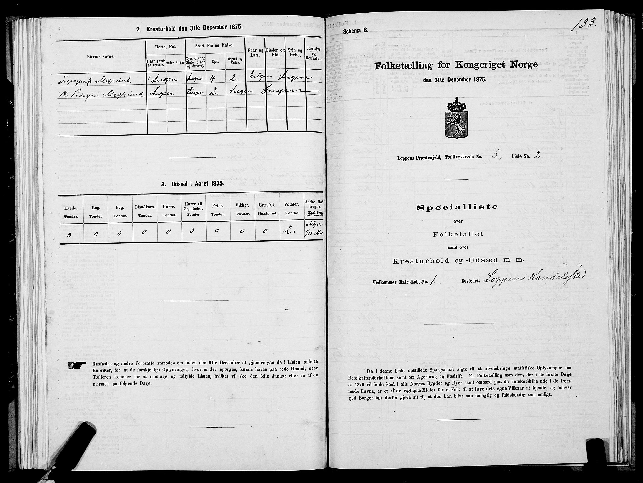 SATØ, 1875 census for 2014P Loppa, 1875, p. 2133