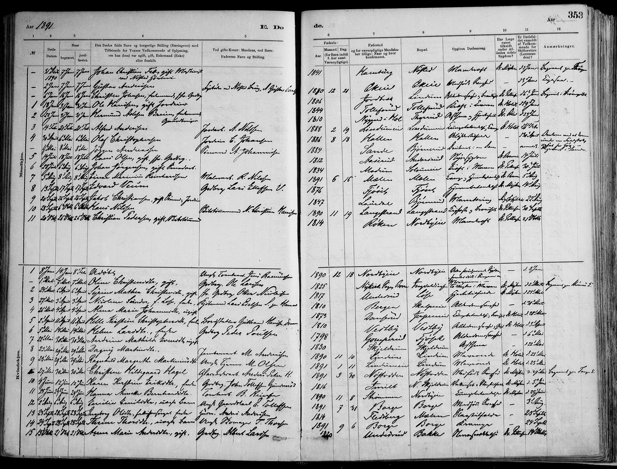 Skoger kirkebøker, AV/SAKO-A-59/F/Fa/L0006: Parish register (official) no. I 6, 1885-1910, p. 353