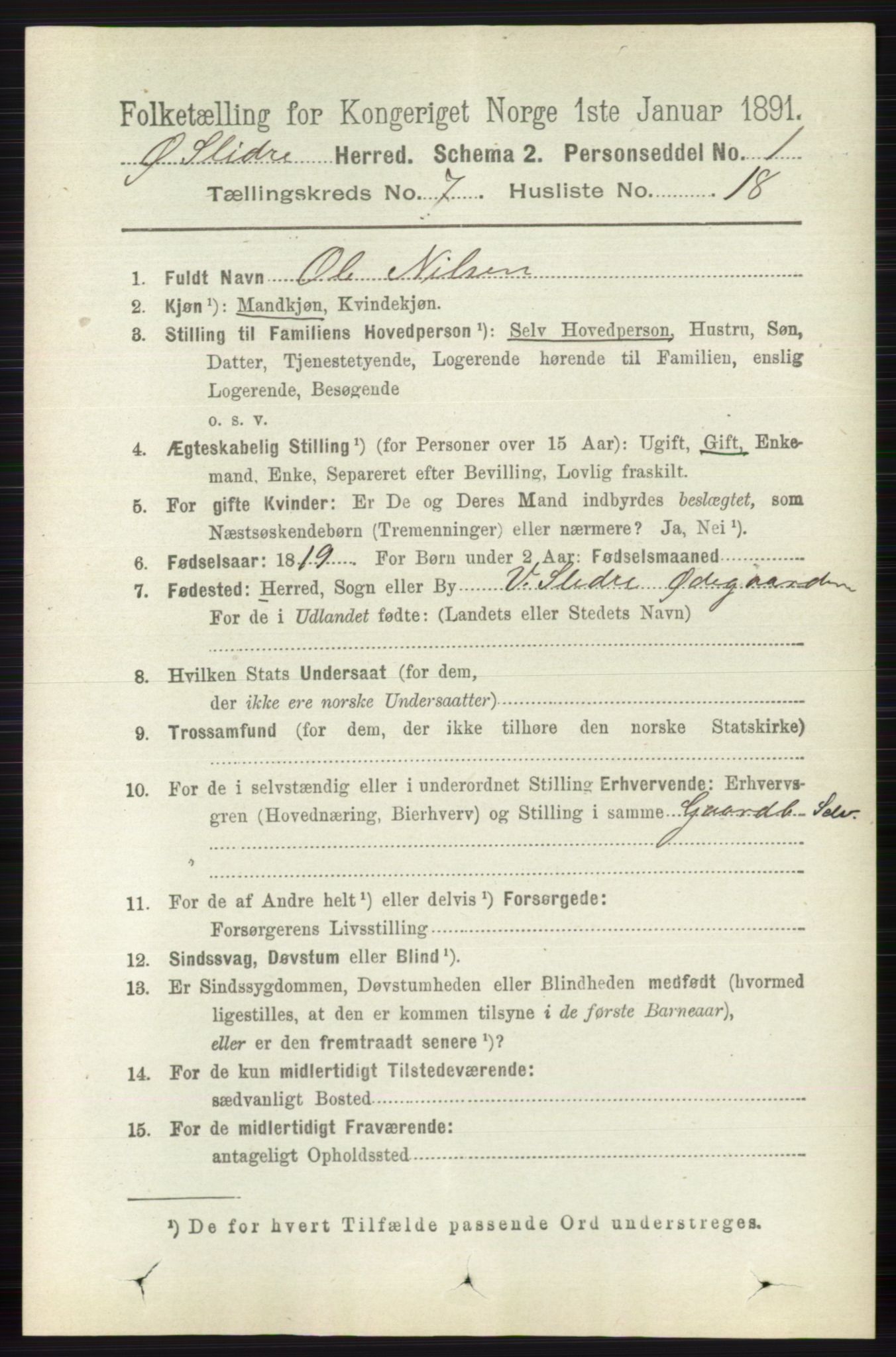 RA, 1891 census for 0544 Øystre Slidre, 1891, p. 2258