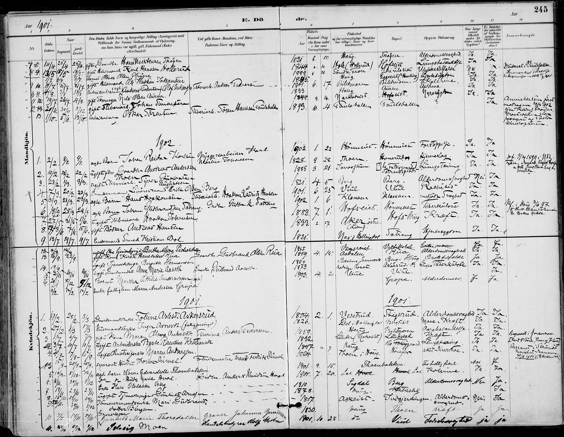 Haug kirkebøker, AV/SAKO-A-604/F/Fa/L0001: Parish register (official) no. 1, 1885-1917, p. 245