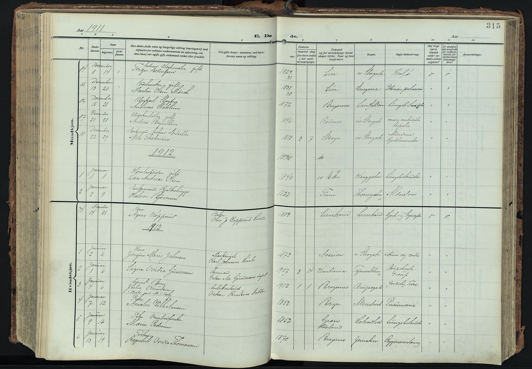 Bragernes kirkebøker, SAKO/A-6/F/Fb/L0010: Parish register (official) no. II 10, 1911-1922, p. 315