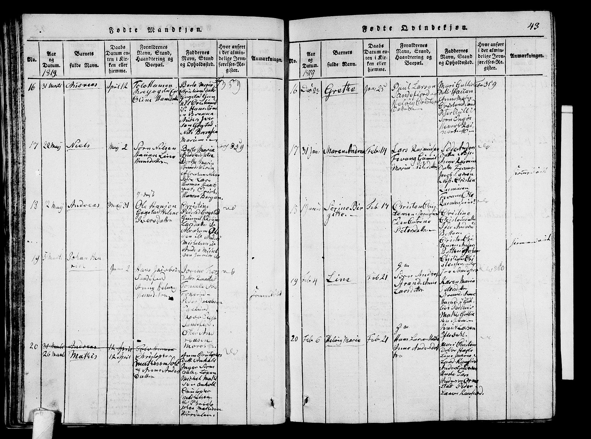 Sandar kirkebøker, SAKO/A-243/G/Ga/L0001: Parish register (copy) no. 1, 1814-1835, p. 43
