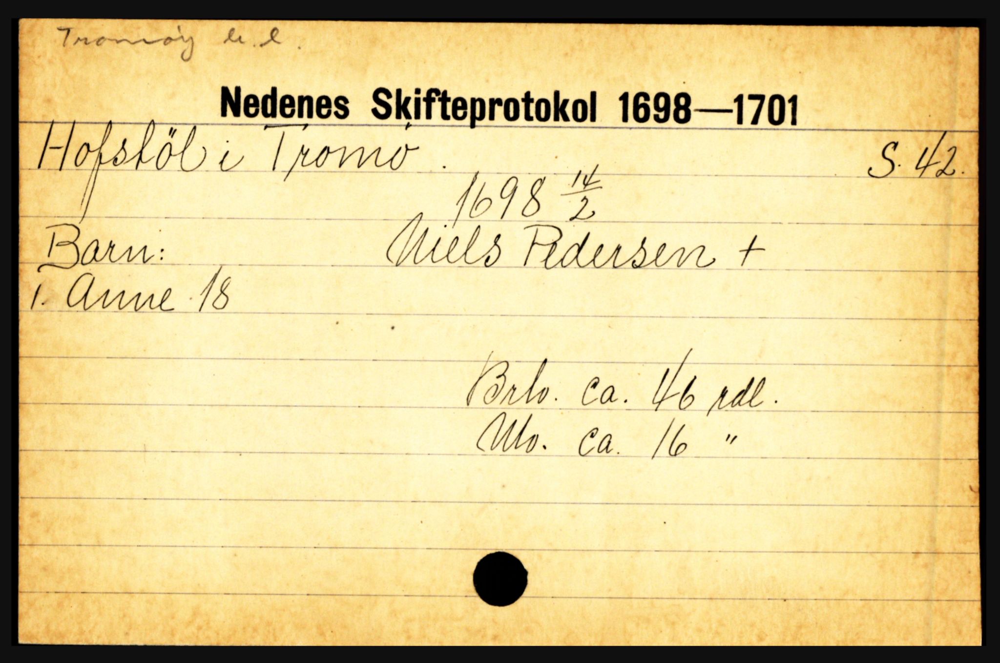 Nedenes sorenskriveri før 1824, AV/SAK-1221-0007/H, p. 12479