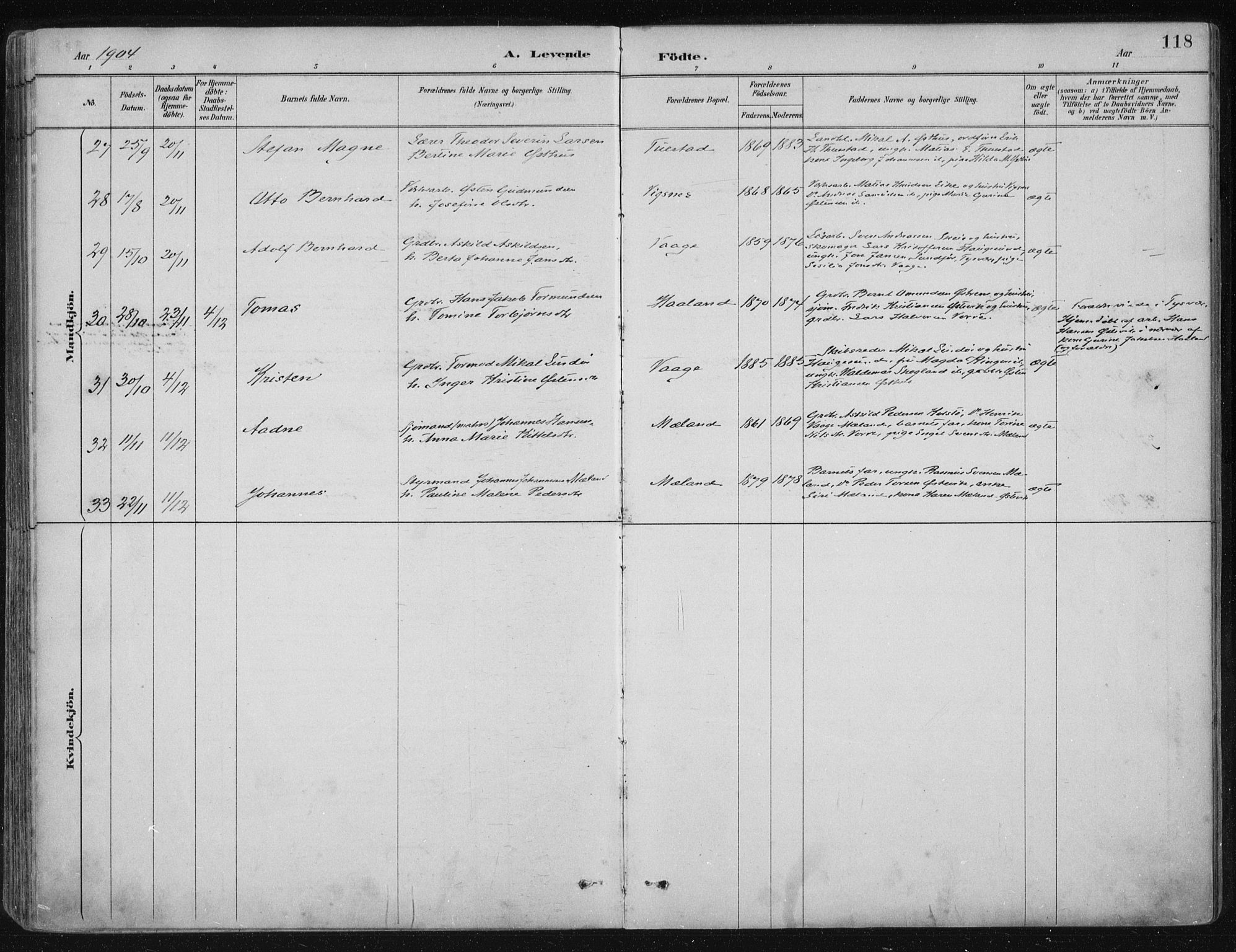 Avaldsnes sokneprestkontor, AV/SAST-A -101851/H/Ha/Haa/L0017: Parish register (official) no. A 17, 1889-1920, p. 118
