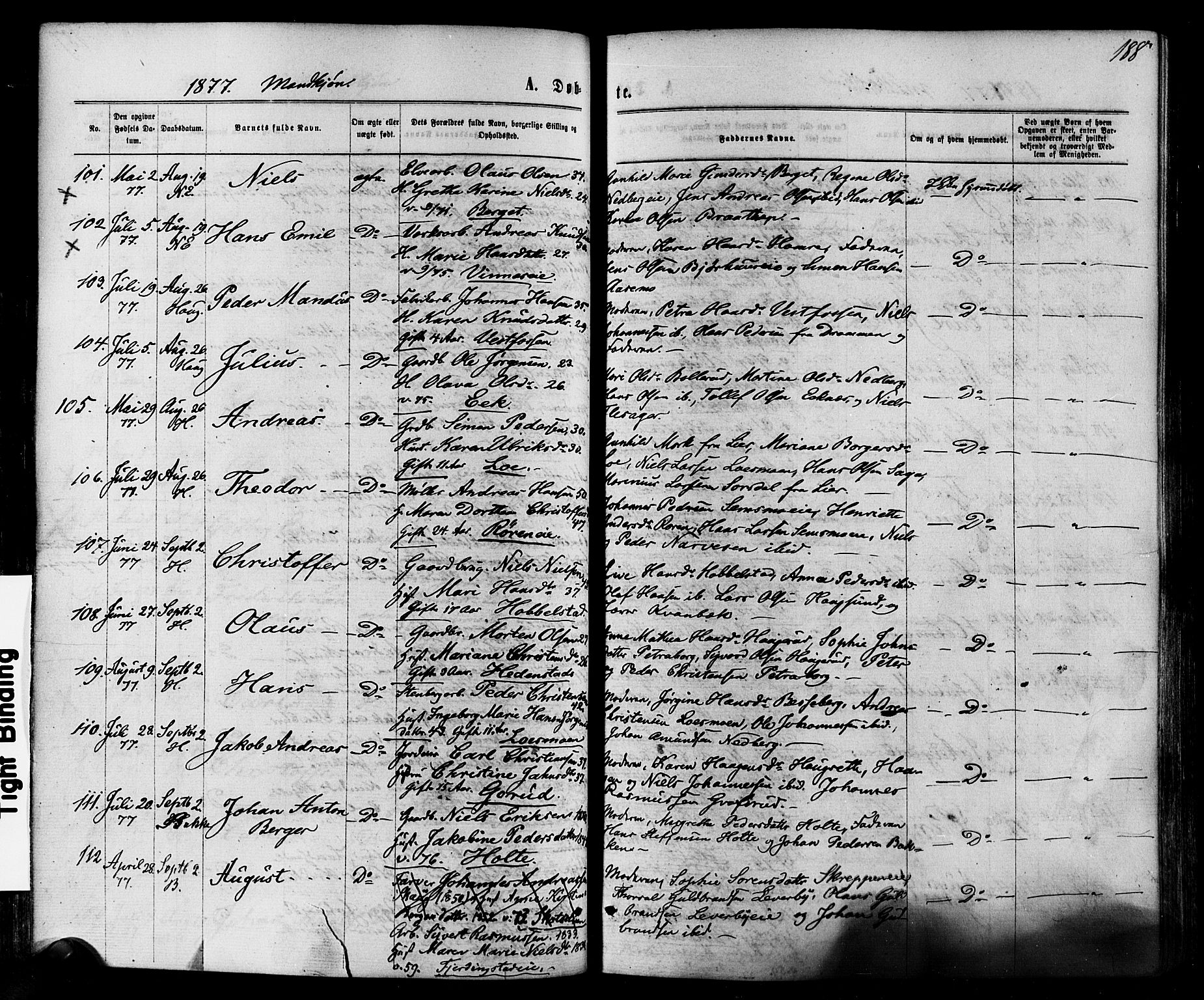 Eiker kirkebøker, SAKO/A-4/F/Fa/L0017: Parish register (official) no. I 17, 1869-1877, p. 188