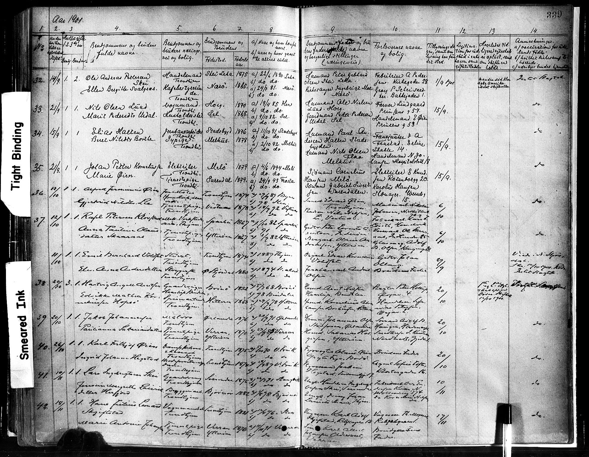 Ministerialprotokoller, klokkerbøker og fødselsregistre - Sør-Trøndelag, AV/SAT-A-1456/602/L0119: Parish register (official) no. 602A17, 1880-1901, p. 339