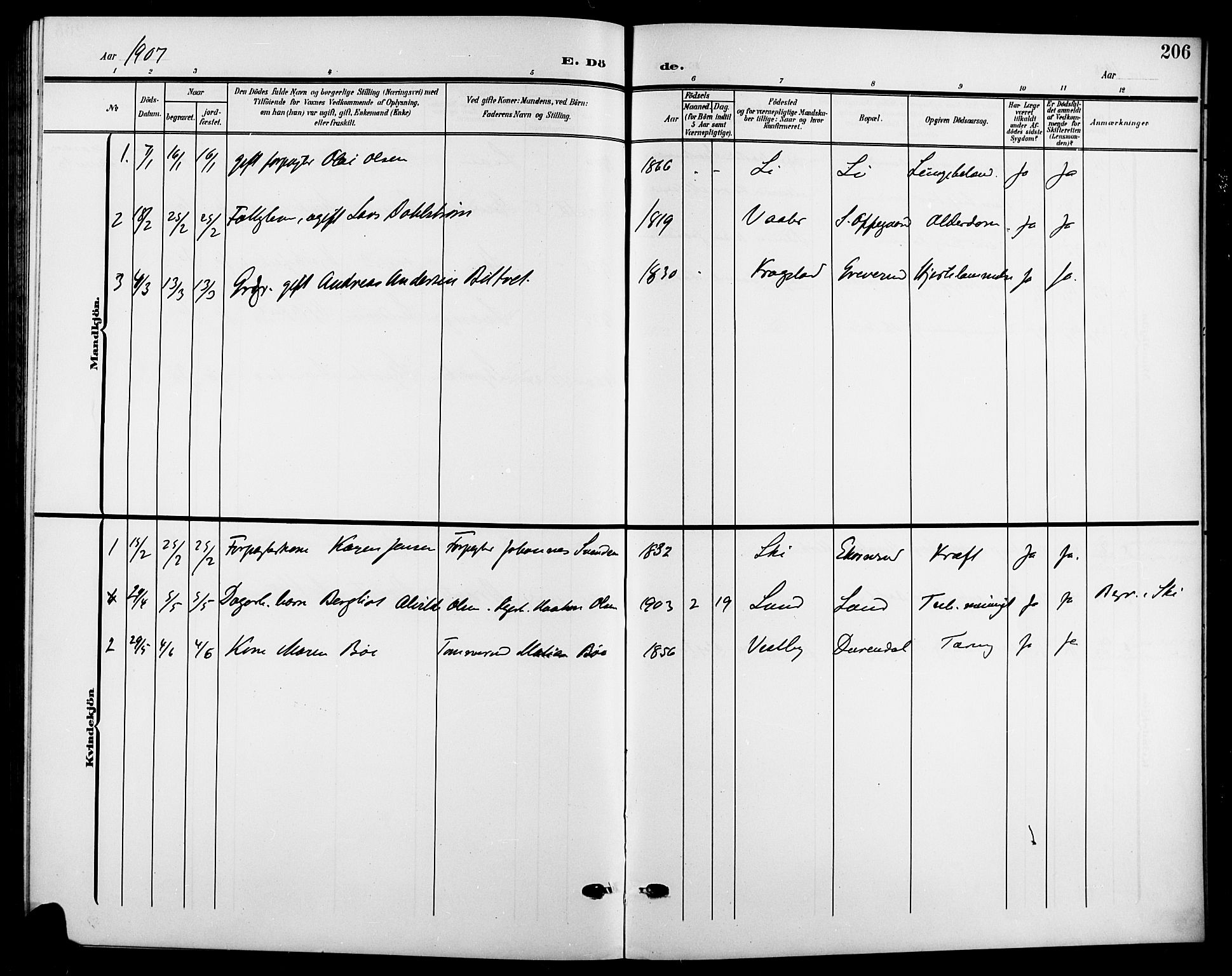 Nesodden prestekontor Kirkebøker, SAO/A-10013/G/Gb/L0001: Parish register (copy) no. II 1, 1905-1924, p. 206