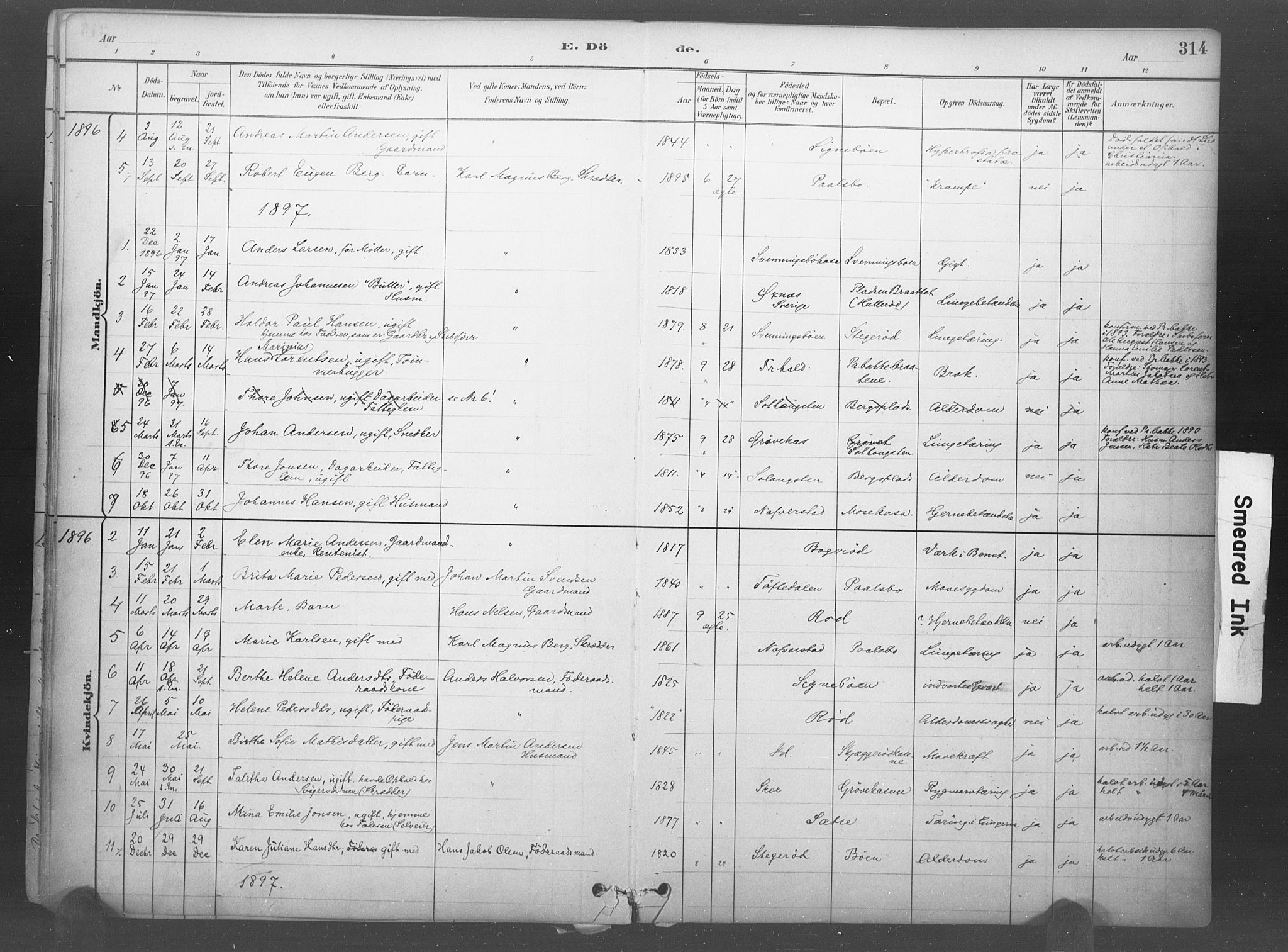 Idd prestekontor Kirkebøker, AV/SAO-A-10911/F/Fb/L0002: Parish register (official) no. II 2, 1882-1923, p. 314