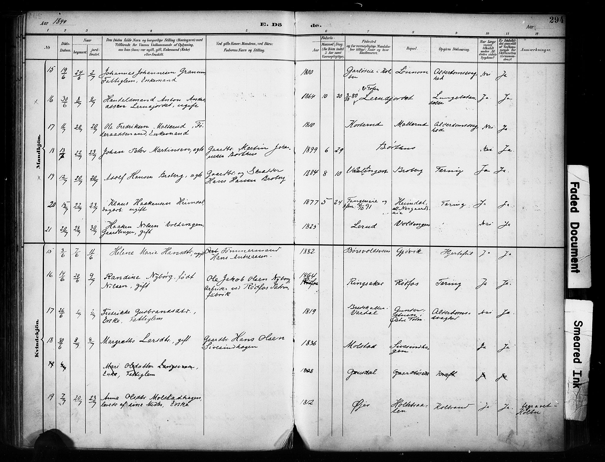 Vestre Toten prestekontor, AV/SAH-PREST-108/H/Ha/Haa/L0011: Parish register (official) no. 11, 1895-1906, p. 294