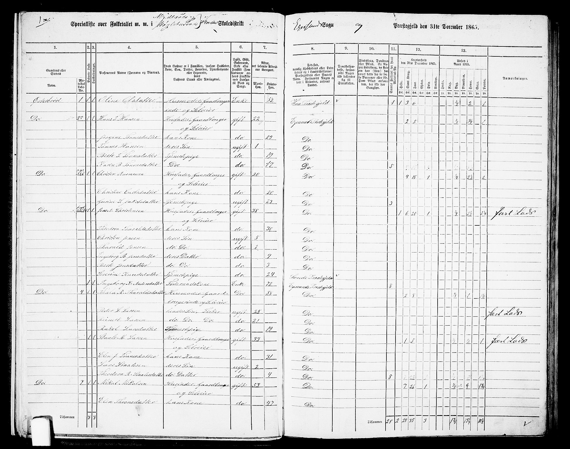 RA, 1865 census for Eigersund/Eigersund og Ogna, 1865, p. 16