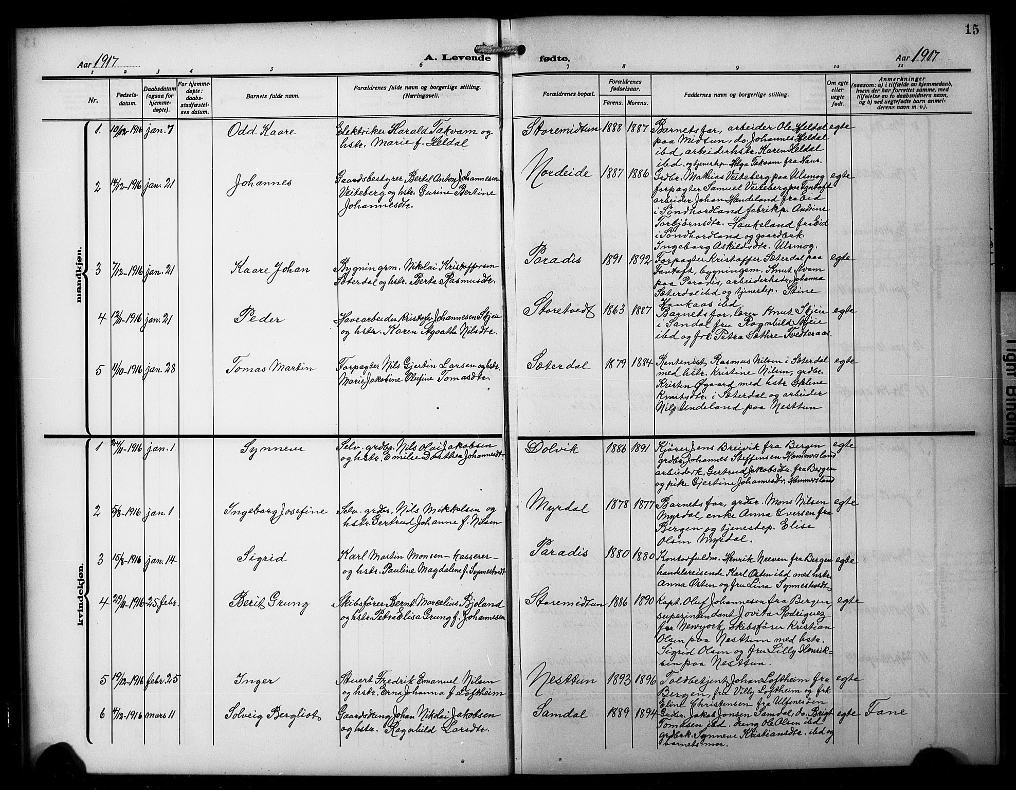 Birkeland Sokneprestembete, AV/SAB-A-74601/H/Hab: Parish register (copy) no. A 7, 1916-1923, p. 15