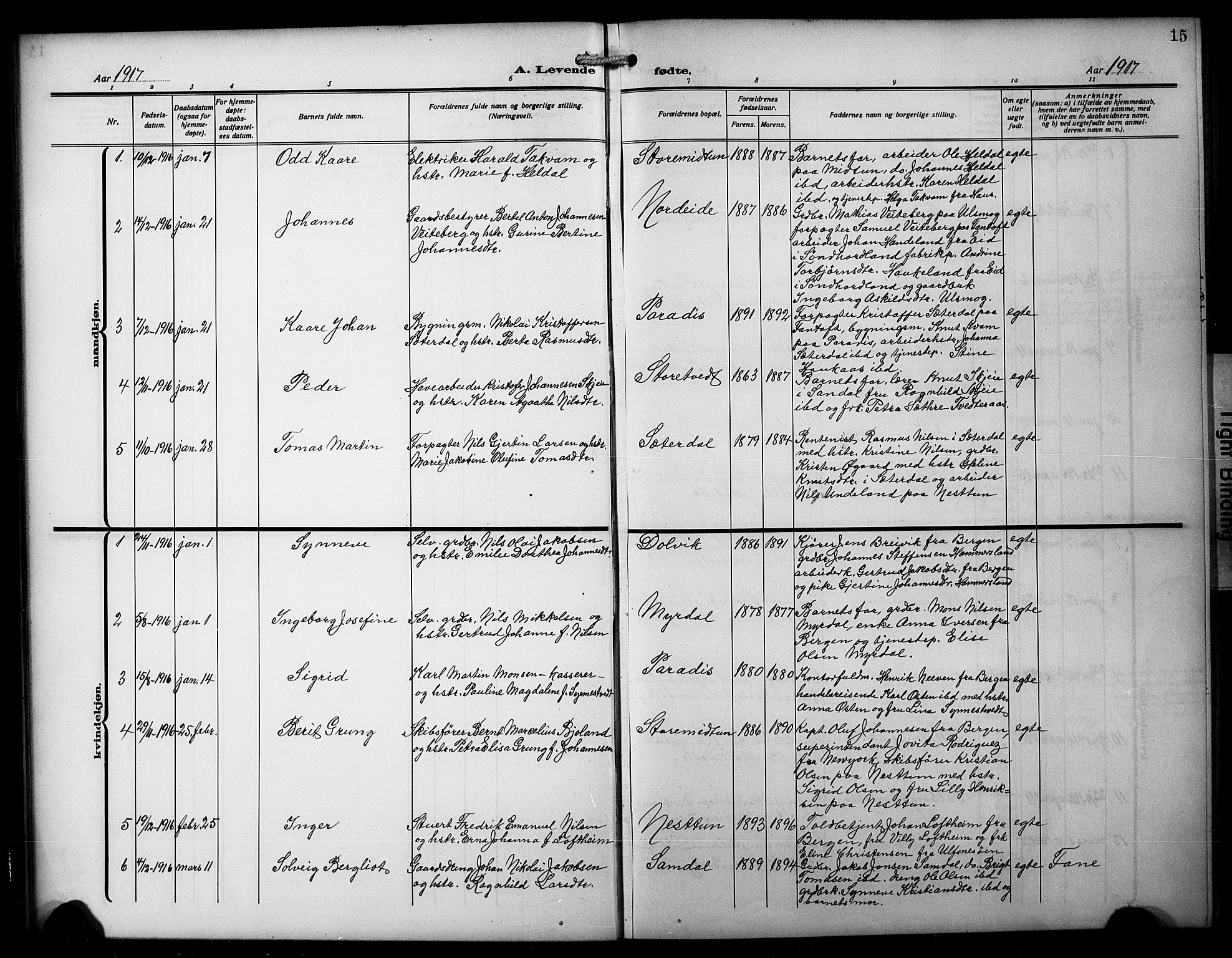 Birkeland Sokneprestembete, SAB/A-74601/H/Hab: Parish register (copy) no. A 7, 1916-1923, p. 15