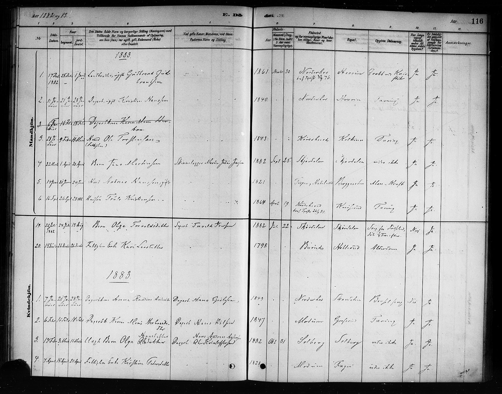 Hole kirkebøker, AV/SAKO-A-228/F/Fb/L0001: Parish register (official) no. II 1, 1878-1891, p. 116