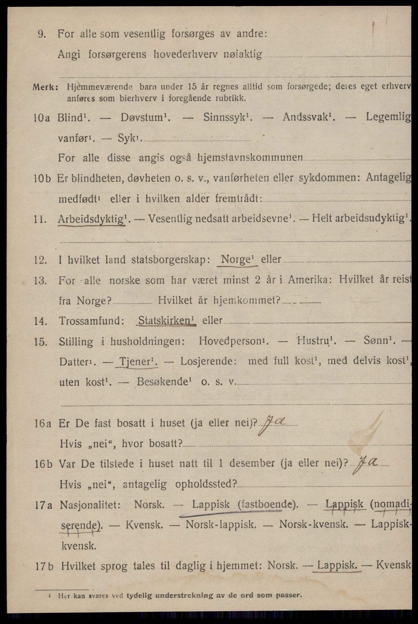 SAT, 1920 census for Røros, 1920, p. 10917