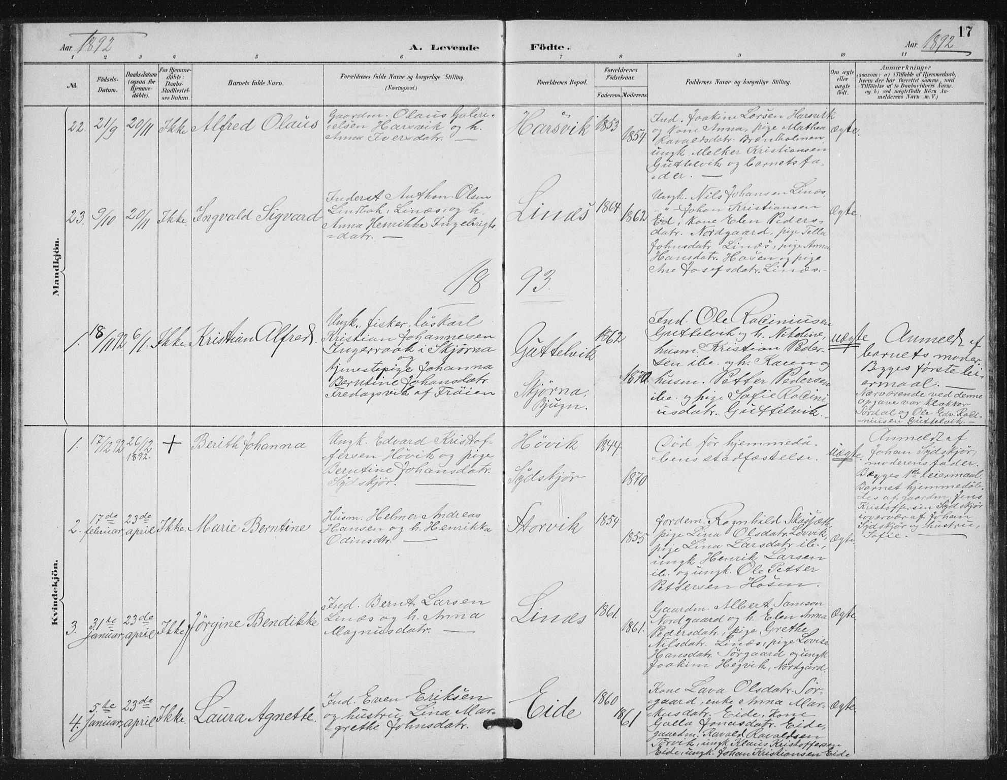 Ministerialprotokoller, klokkerbøker og fødselsregistre - Sør-Trøndelag, SAT/A-1456/656/L0698: Parish register (copy) no. 656C04, 1890-1904, p. 17