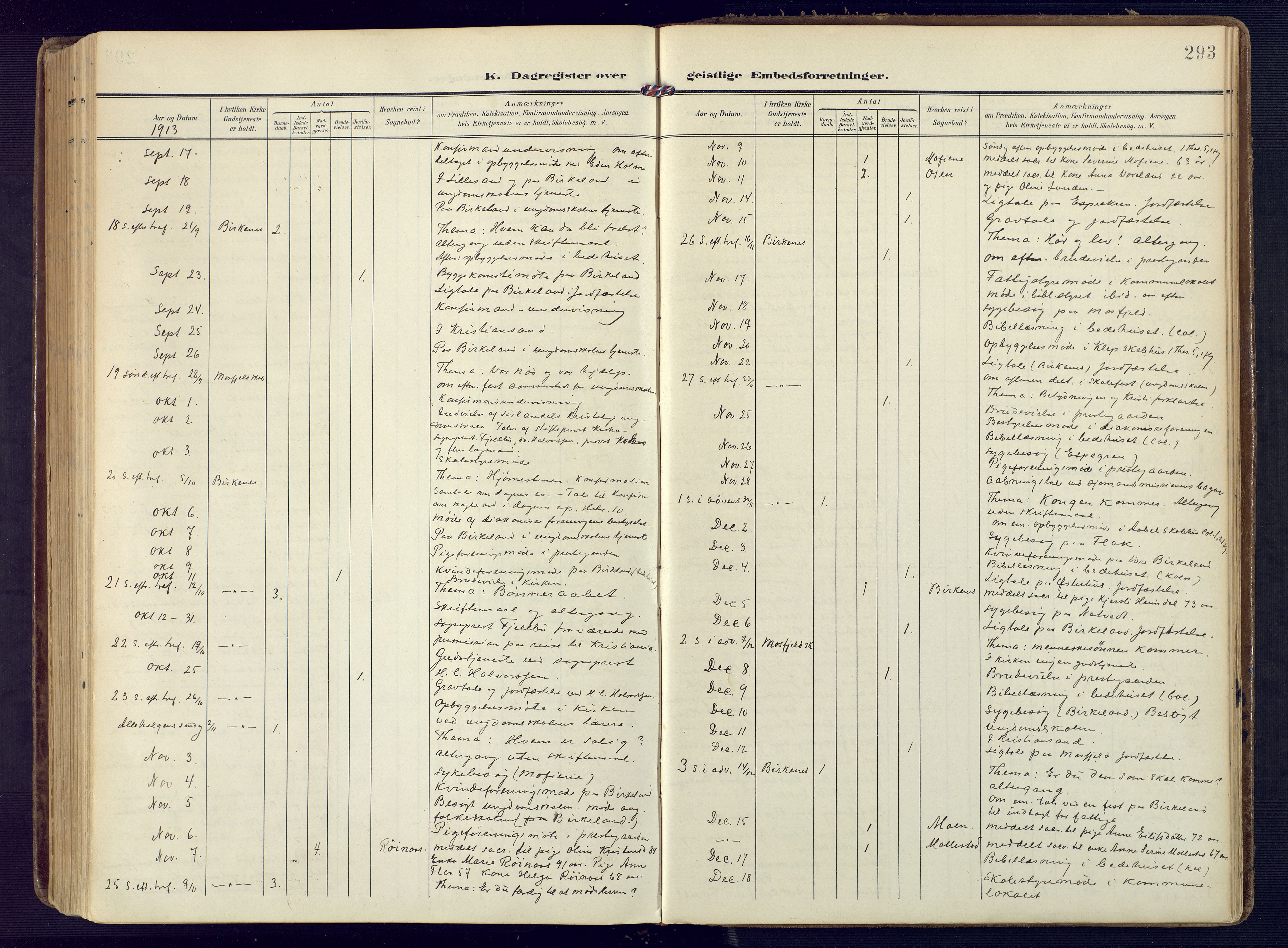 Birkenes sokneprestkontor, SAK/1111-0004/F/Fa/L0006: Parish register (official) no. A 6, 1908-1932, p. 293