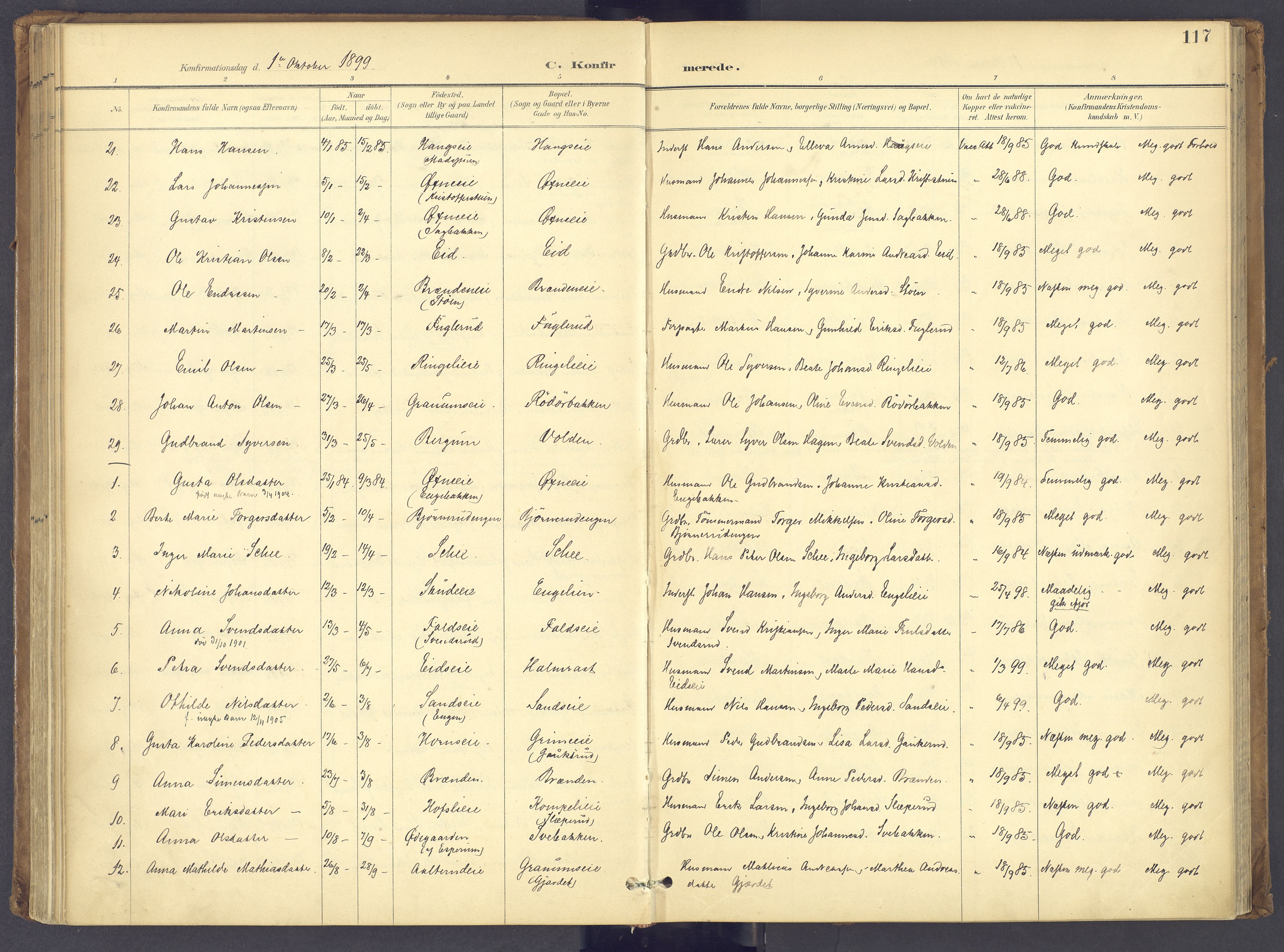 Søndre Land prestekontor, SAH/PREST-122/K/L0006: Parish register (official) no. 6, 1895-1904, p. 117