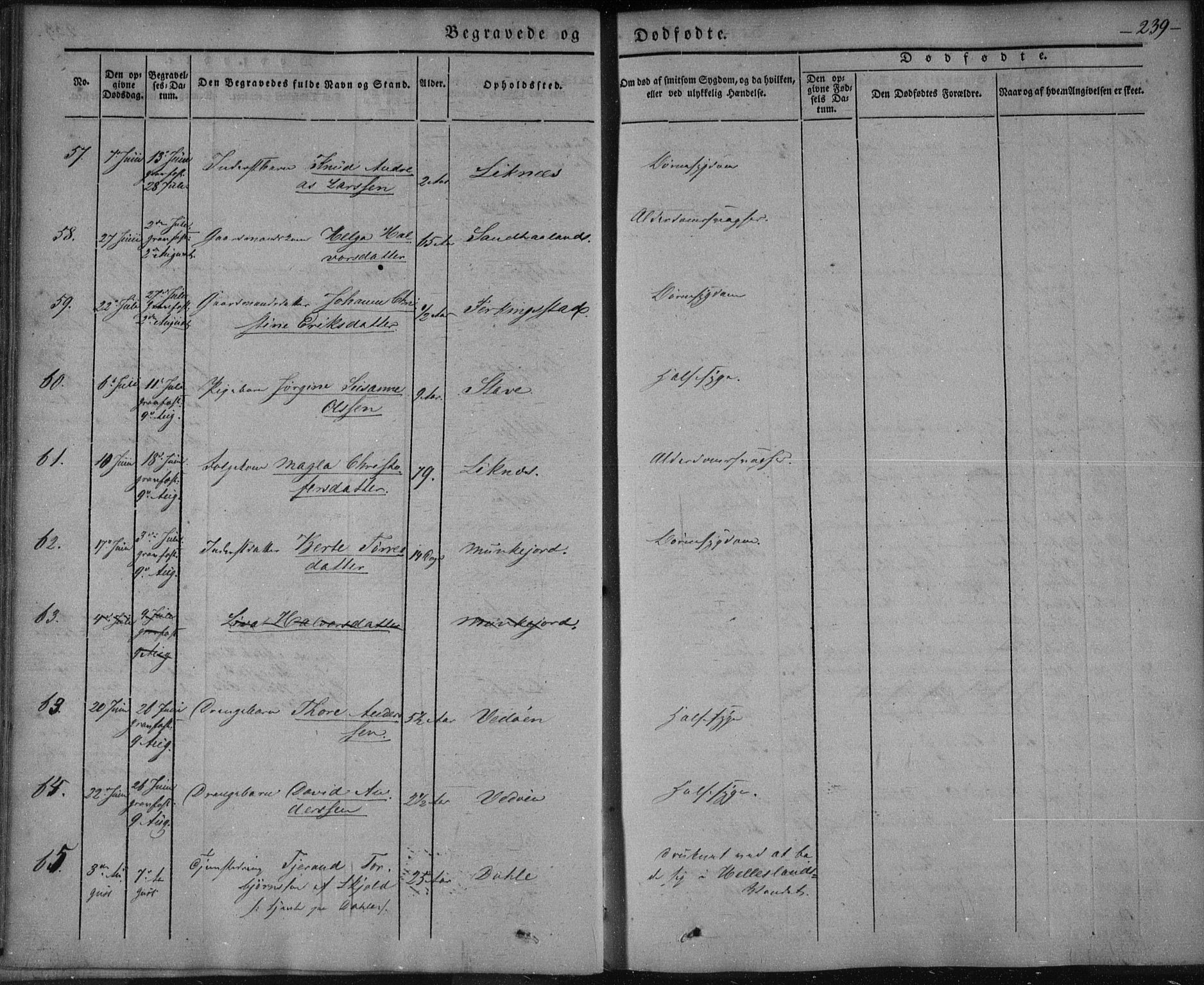 Skudenes sokneprestkontor, AV/SAST-A -101849/H/Ha/Haa/L0003: Parish register (official) no. A 2.2, 1841-1846, p. 239