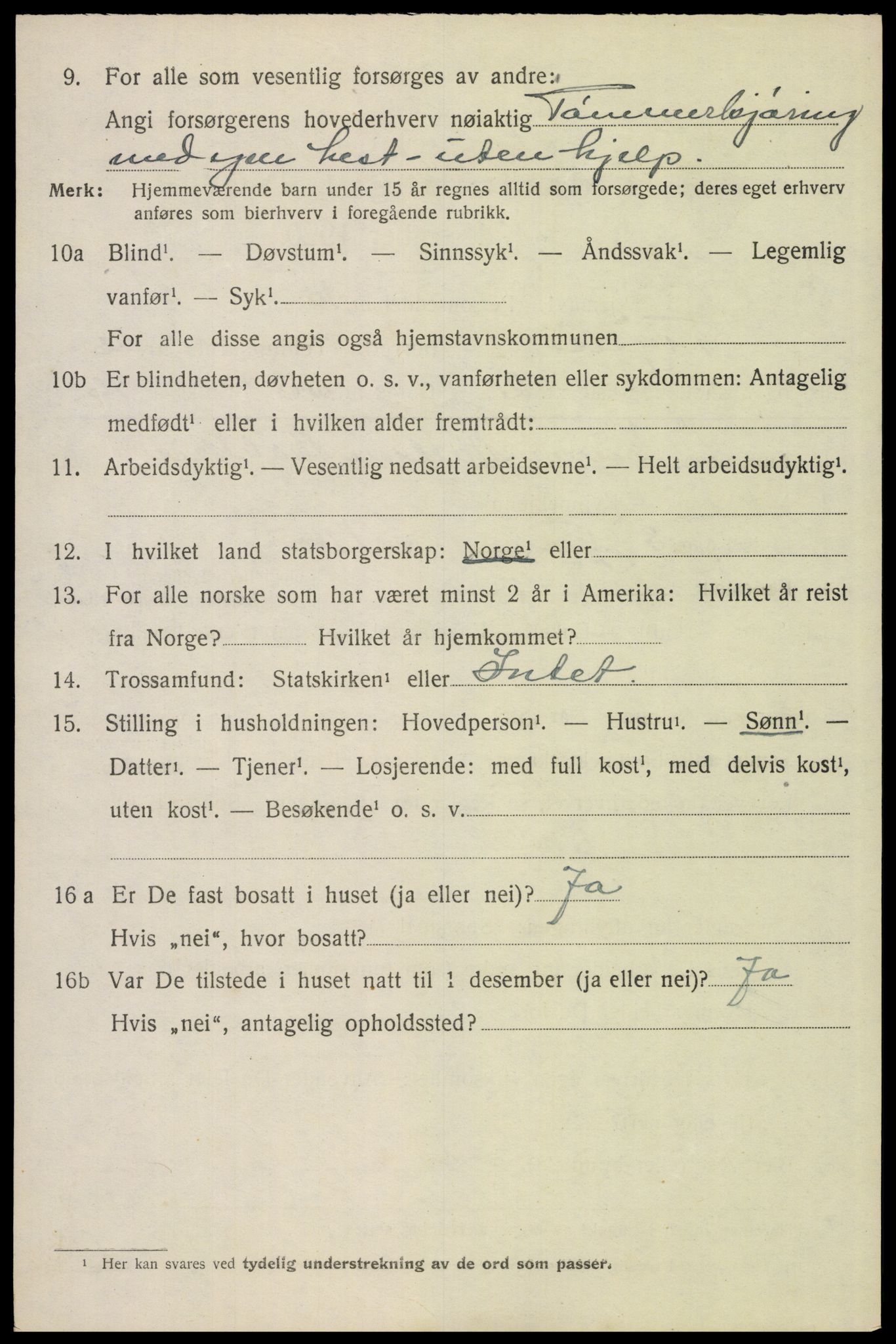 SAH, 1920 census for Trysil, 1920, p. 16136