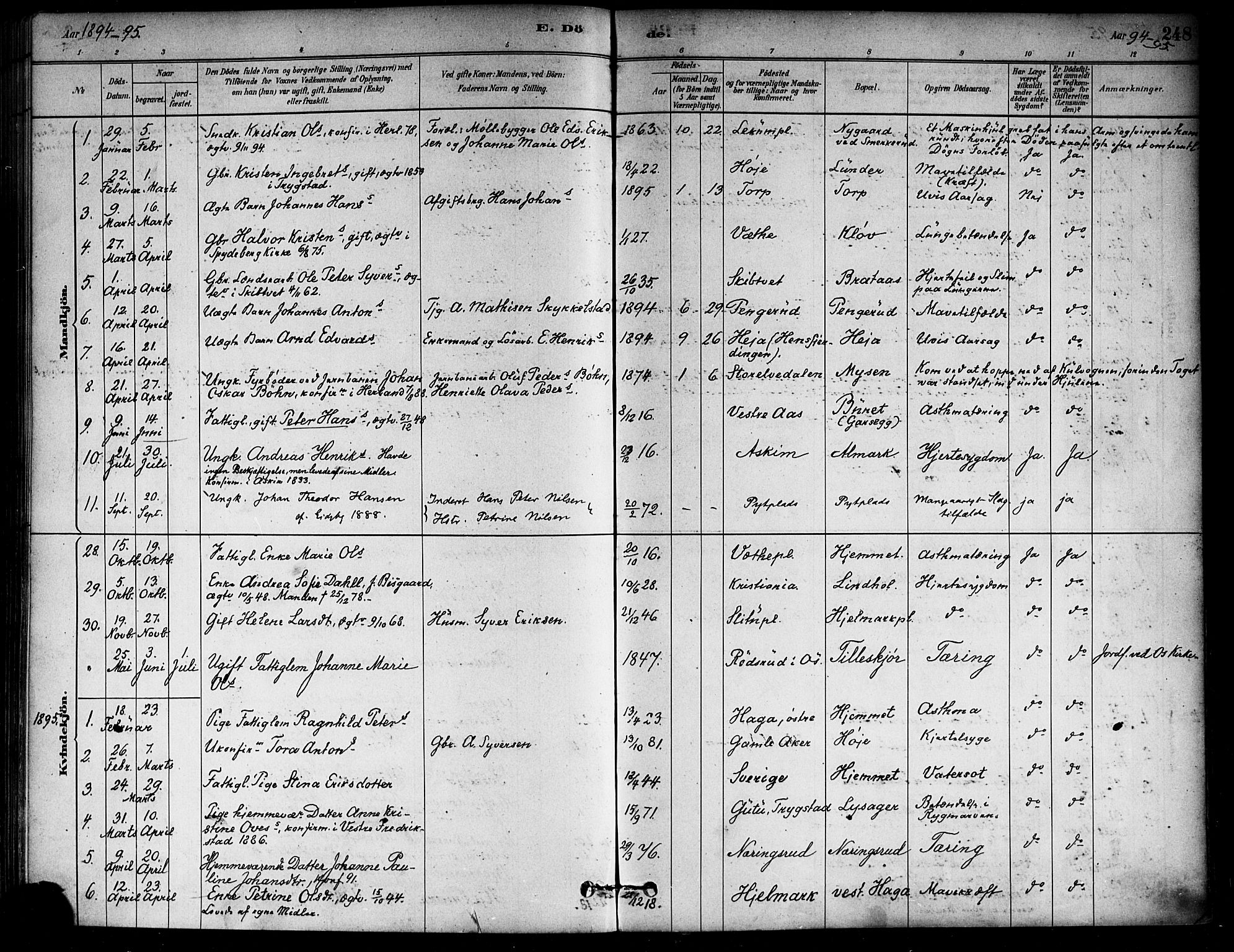 Eidsberg prestekontor Kirkebøker, SAO/A-10905/F/Fa/L0012: Parish register (official) no. I 12, 1879-1901, p. 248