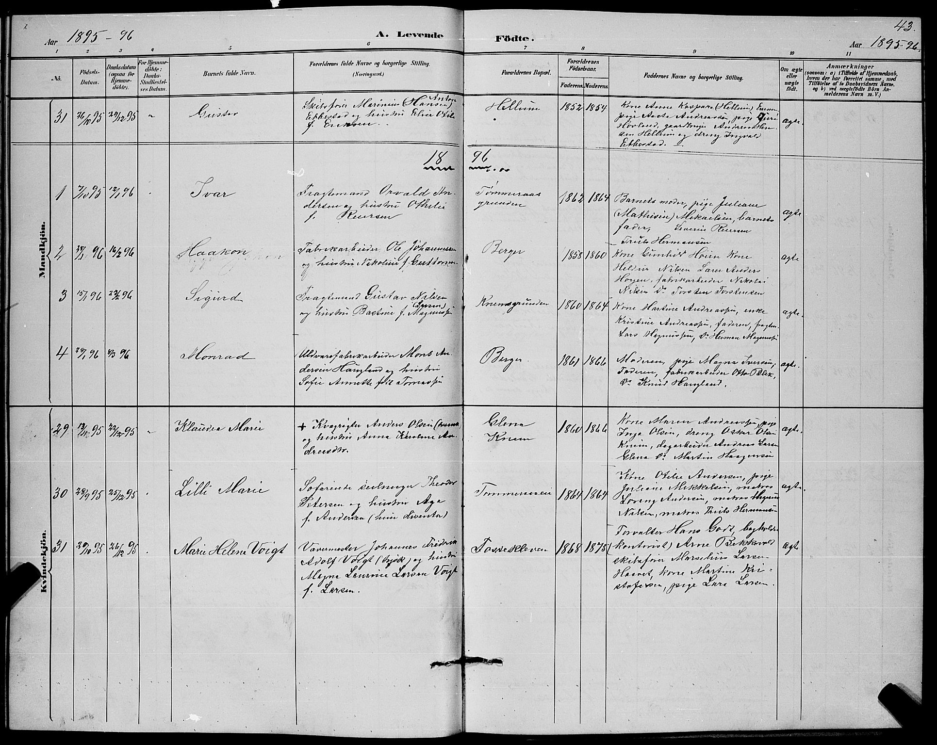 Strømm kirkebøker, AV/SAKO-A-322/G/Ga/L0003: Parish register (copy) no. I 3, 1889-1896, p. 43