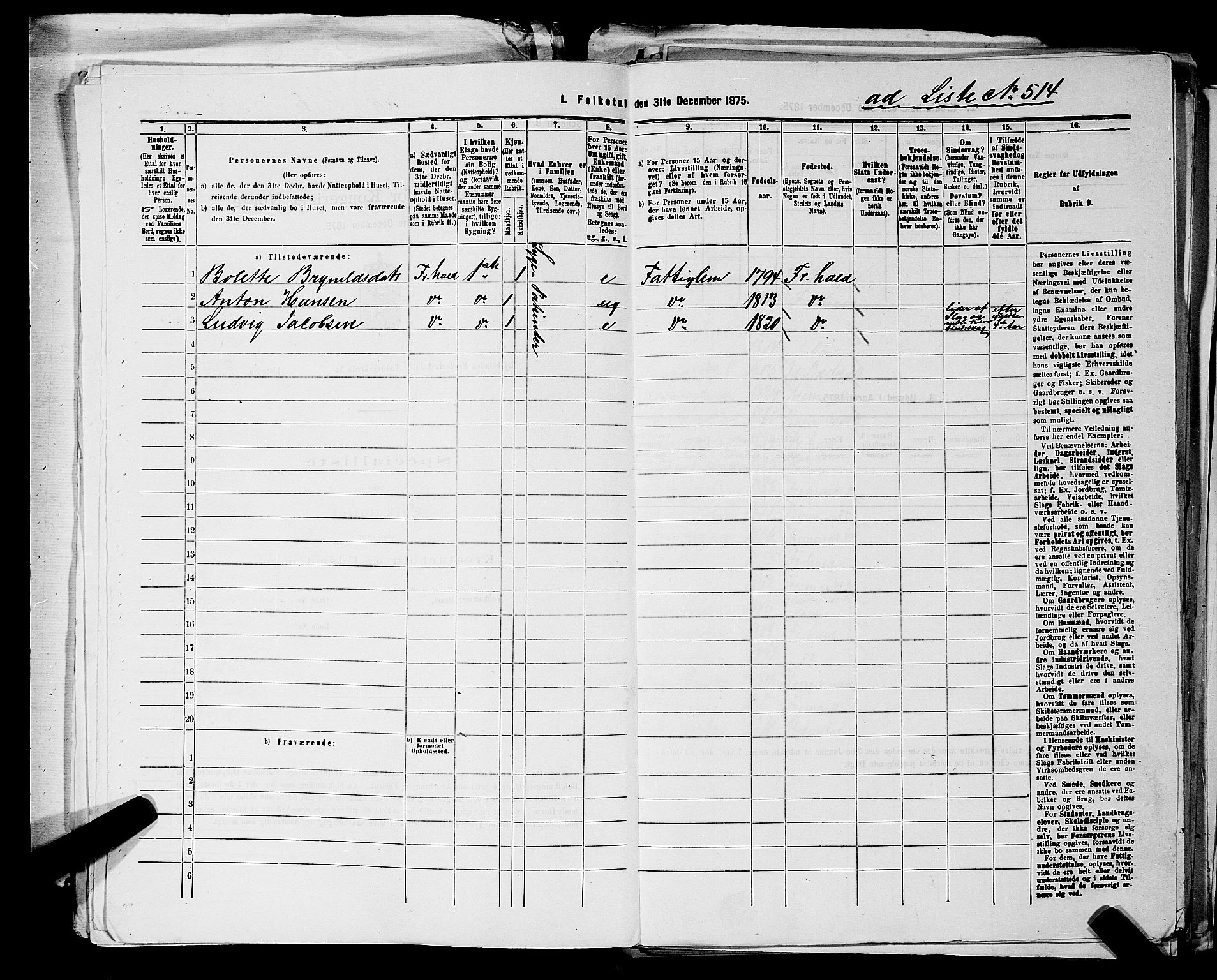 RA, 1875 census for 0101P Fredrikshald, 1875, p. 1147