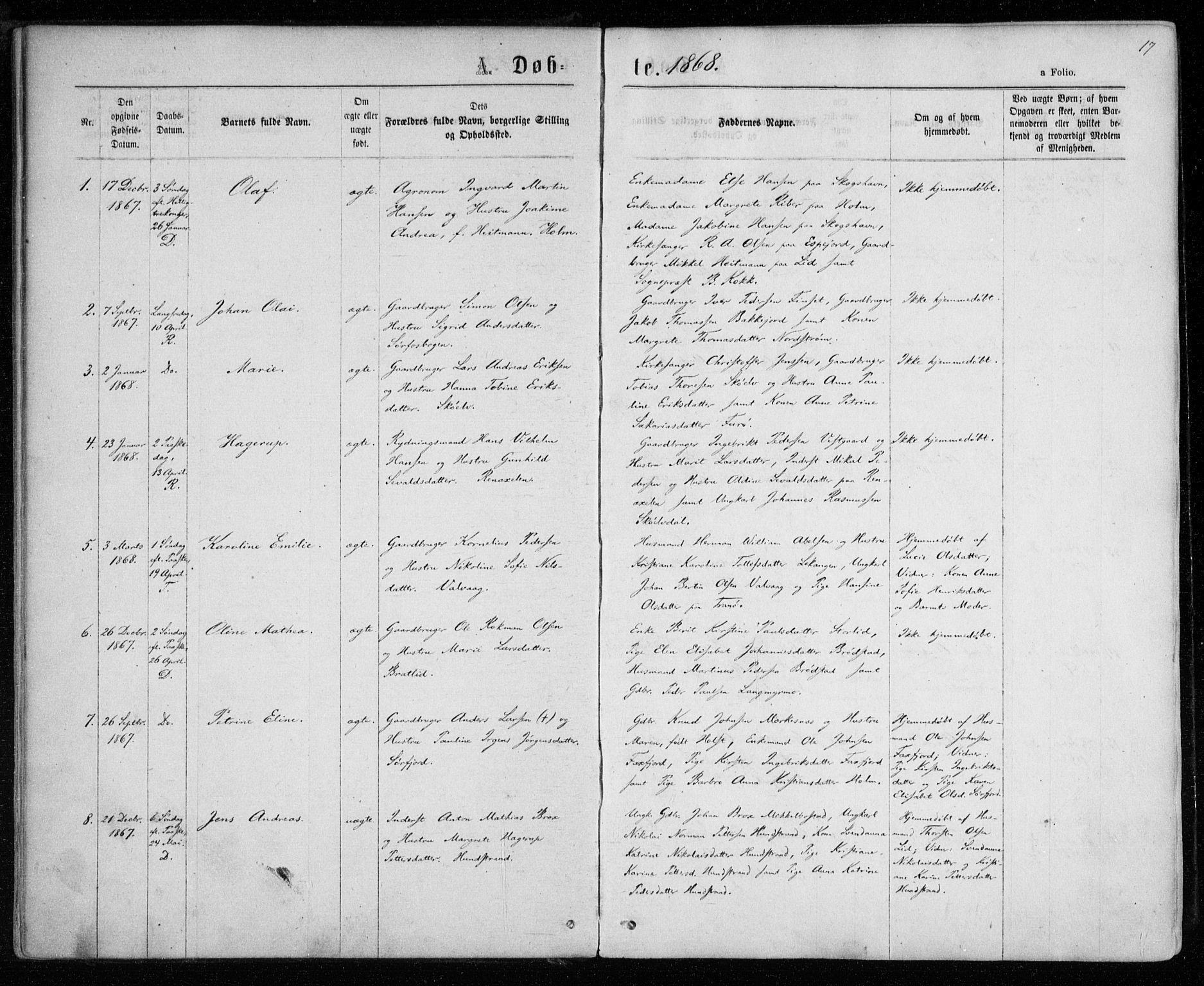 Tranøy sokneprestkontor, SATØ/S-1313/I/Ia/Iaa/L0008kirke: Parish register (official) no. 8, 1867-1877, p. 17