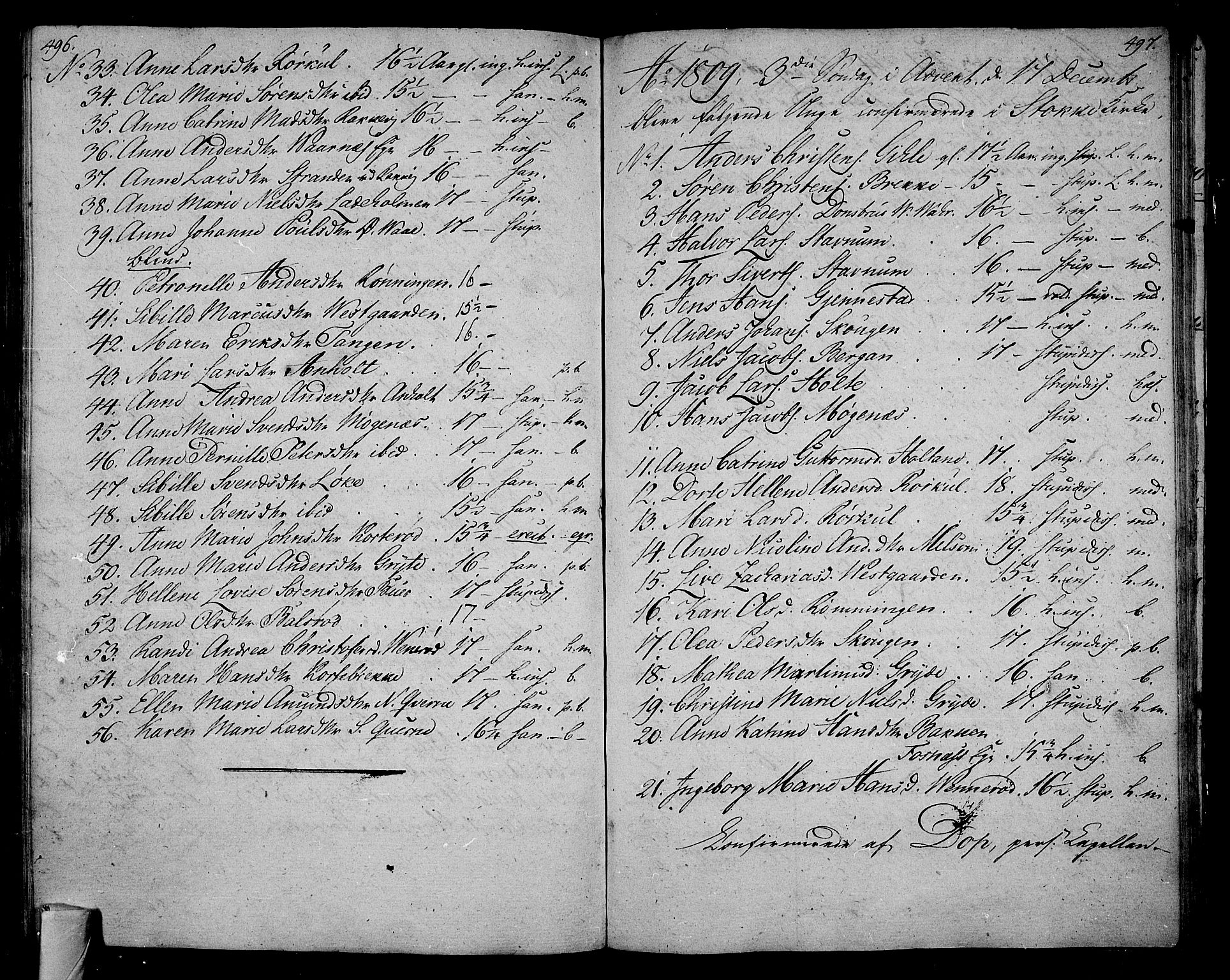 Stokke kirkebøker, AV/SAKO-A-320/F/Fa/L0004: Parish register (official) no. I 4, 1804-1815, p. 496-497