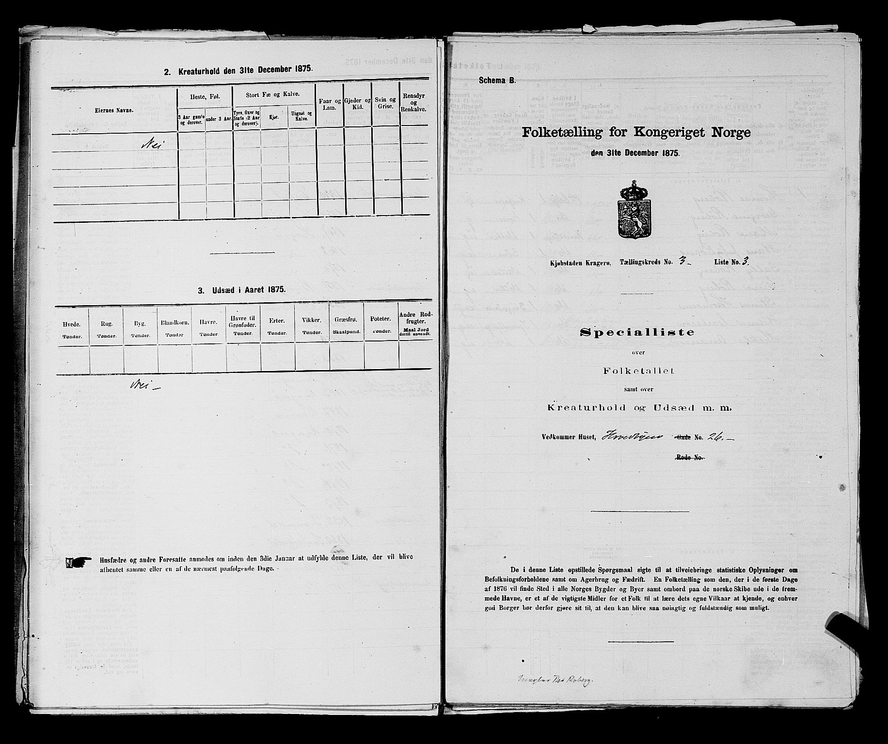 SAKO, 1875 census for 0801P Kragerø, 1875, p. 69