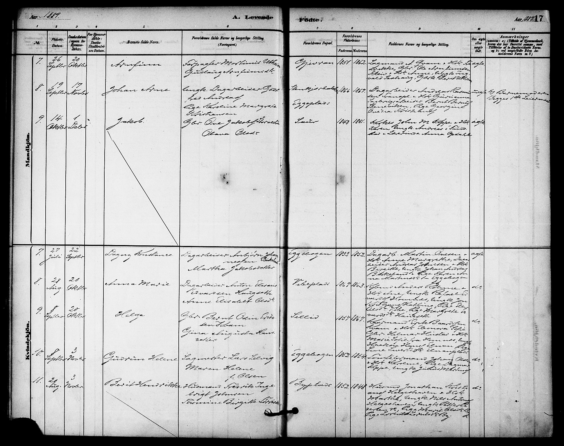 Ministerialprotokoller, klokkerbøker og fødselsregistre - Nord-Trøndelag, SAT/A-1458/740/L0378: Parish register (official) no. 740A01, 1881-1895, p. 17