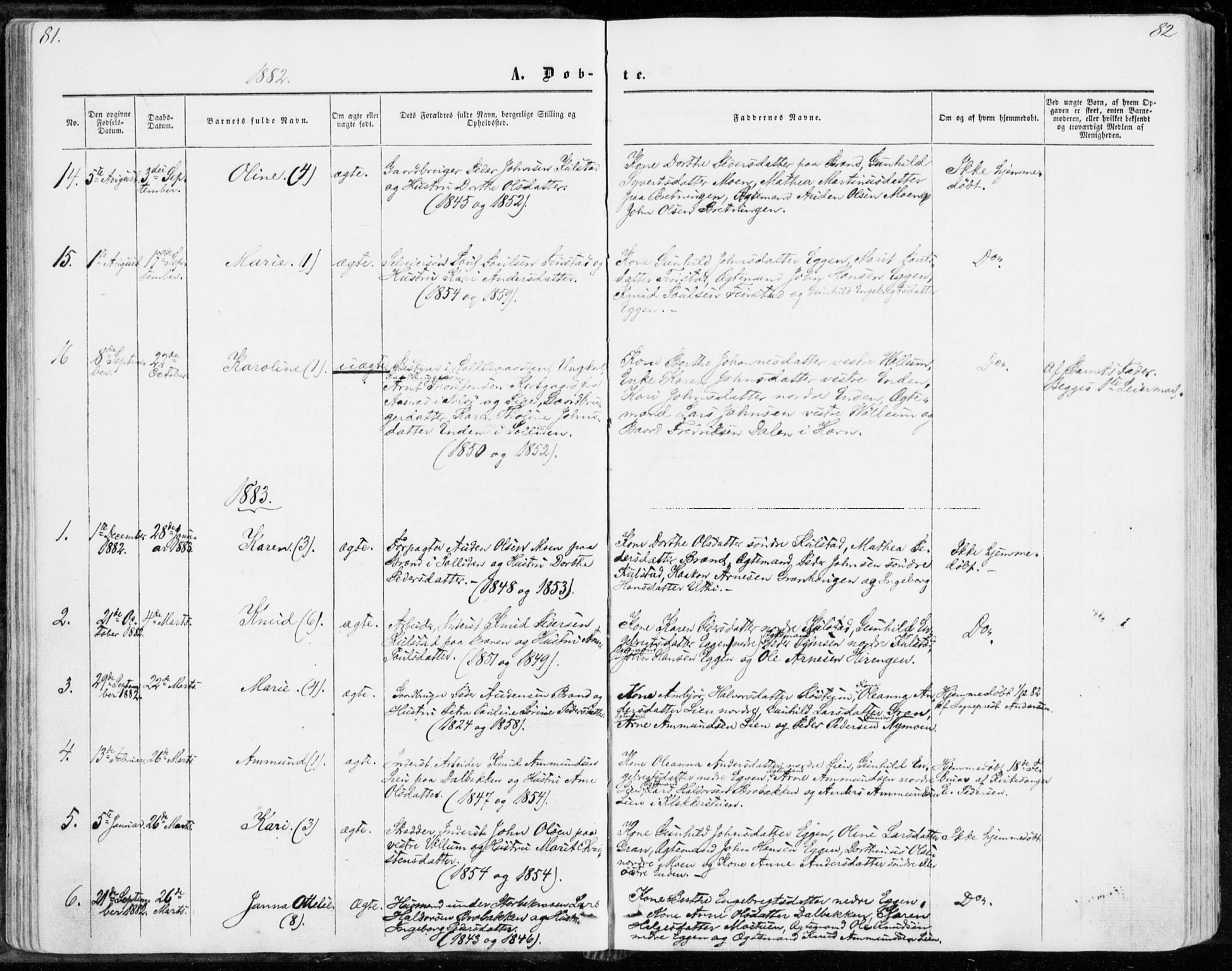Sollia prestekontor, SAH/PREST-050/H/Ha/Haa/L0001: Parish register (official) no. 1, 1856-1885, p. 81-82