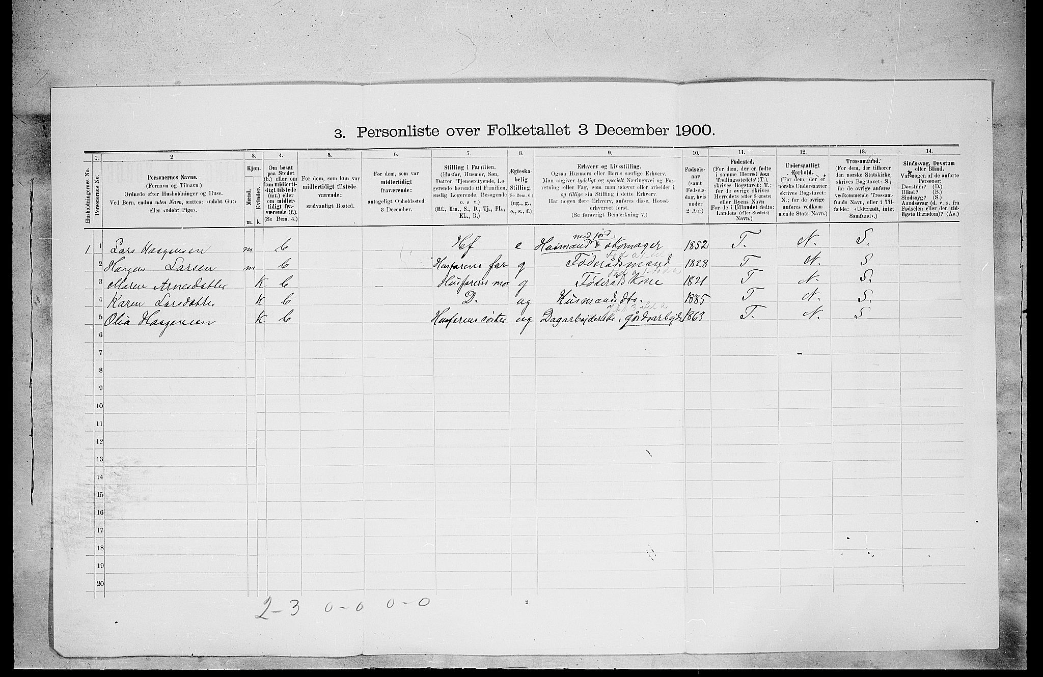 SAH, 1900 census for Grue, 1900, p. 496