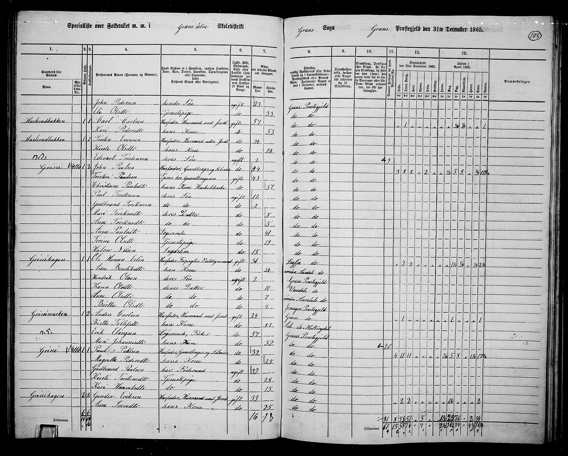 RA, 1865 census for Gran, 1865, p. 363