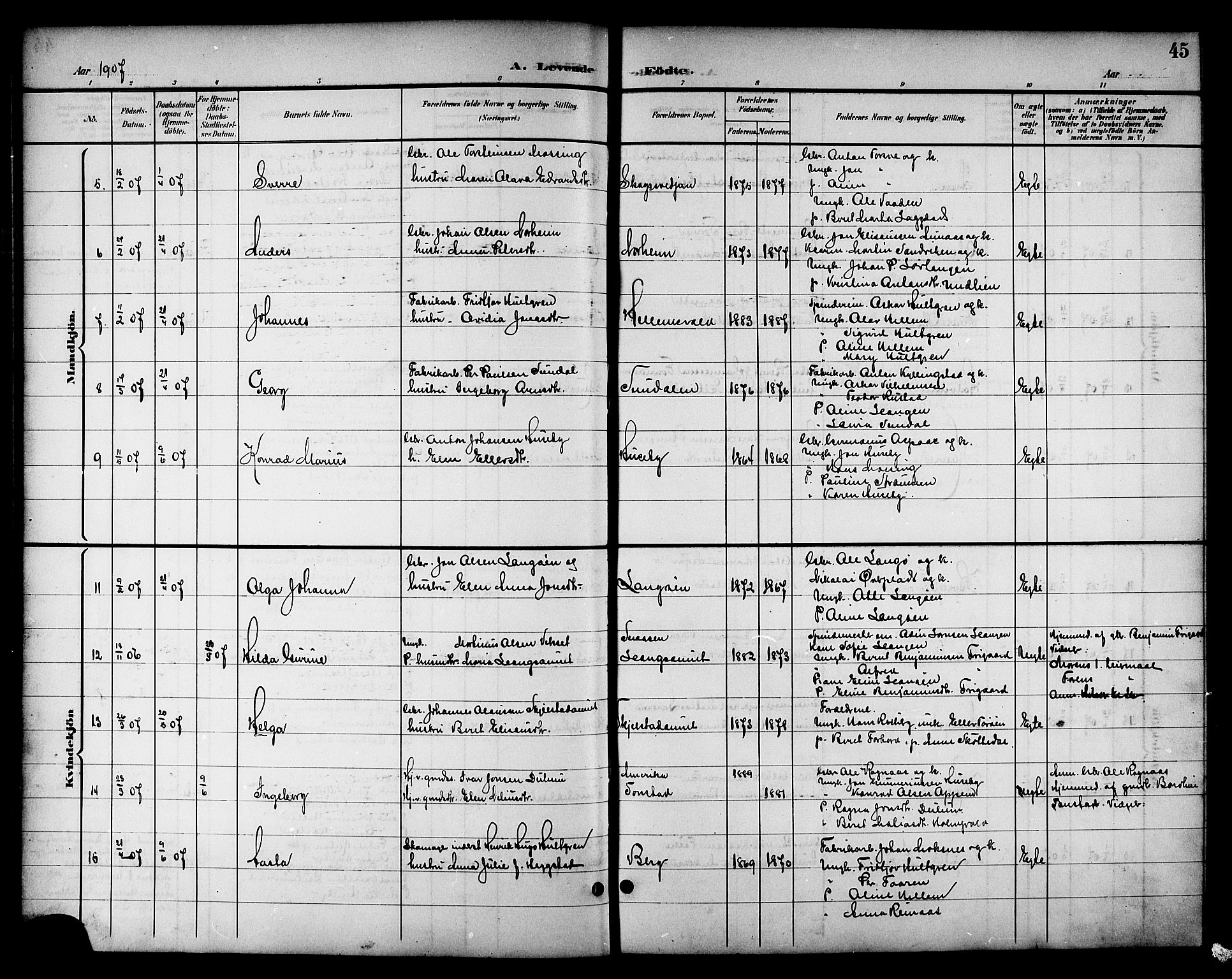 Ministerialprotokoller, klokkerbøker og fødselsregistre - Nord-Trøndelag, AV/SAT-A-1458/714/L0135: Parish register (copy) no. 714C04, 1899-1918, p. 45