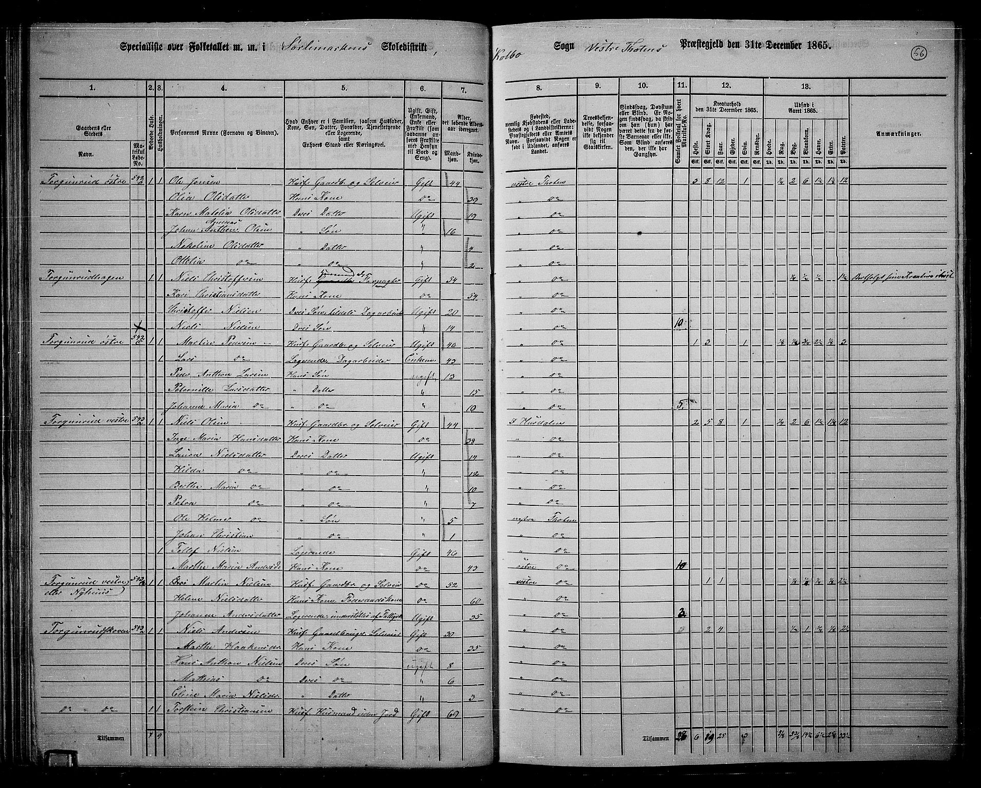 RA, 1865 census for Vestre Toten, 1865, p. 213