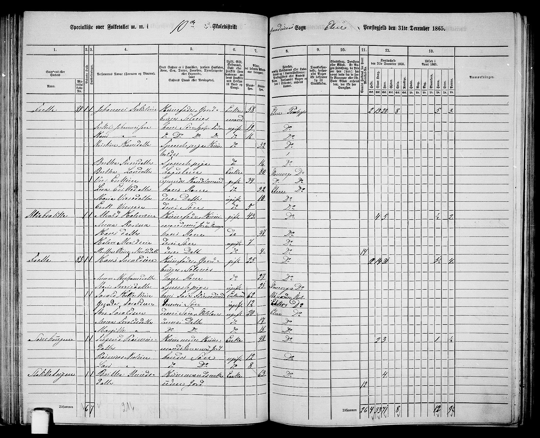 RA, 1865 census for Etne, 1865, p. 72