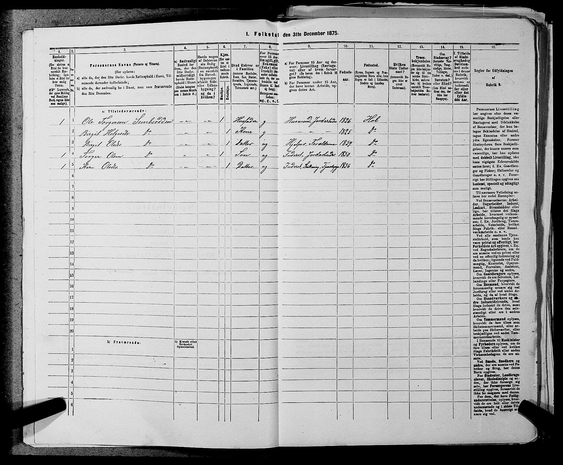 SAKO, 1875 census for 0620P Hol, 1875, p. 433