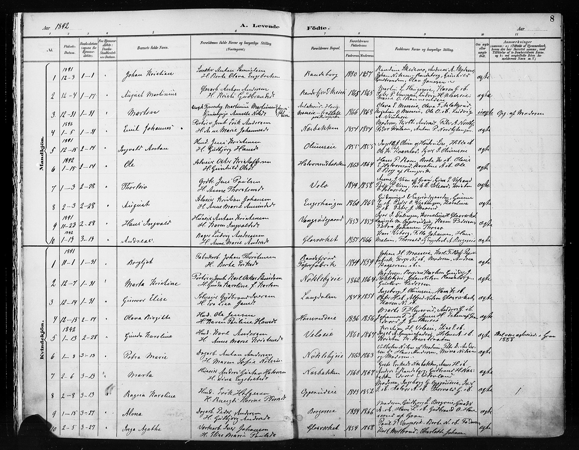 Jevnaker prestekontor, AV/SAH-PREST-116/H/Ha/Haa/L0009: Parish register (official) no. 9, 1891-1901, p. 8
