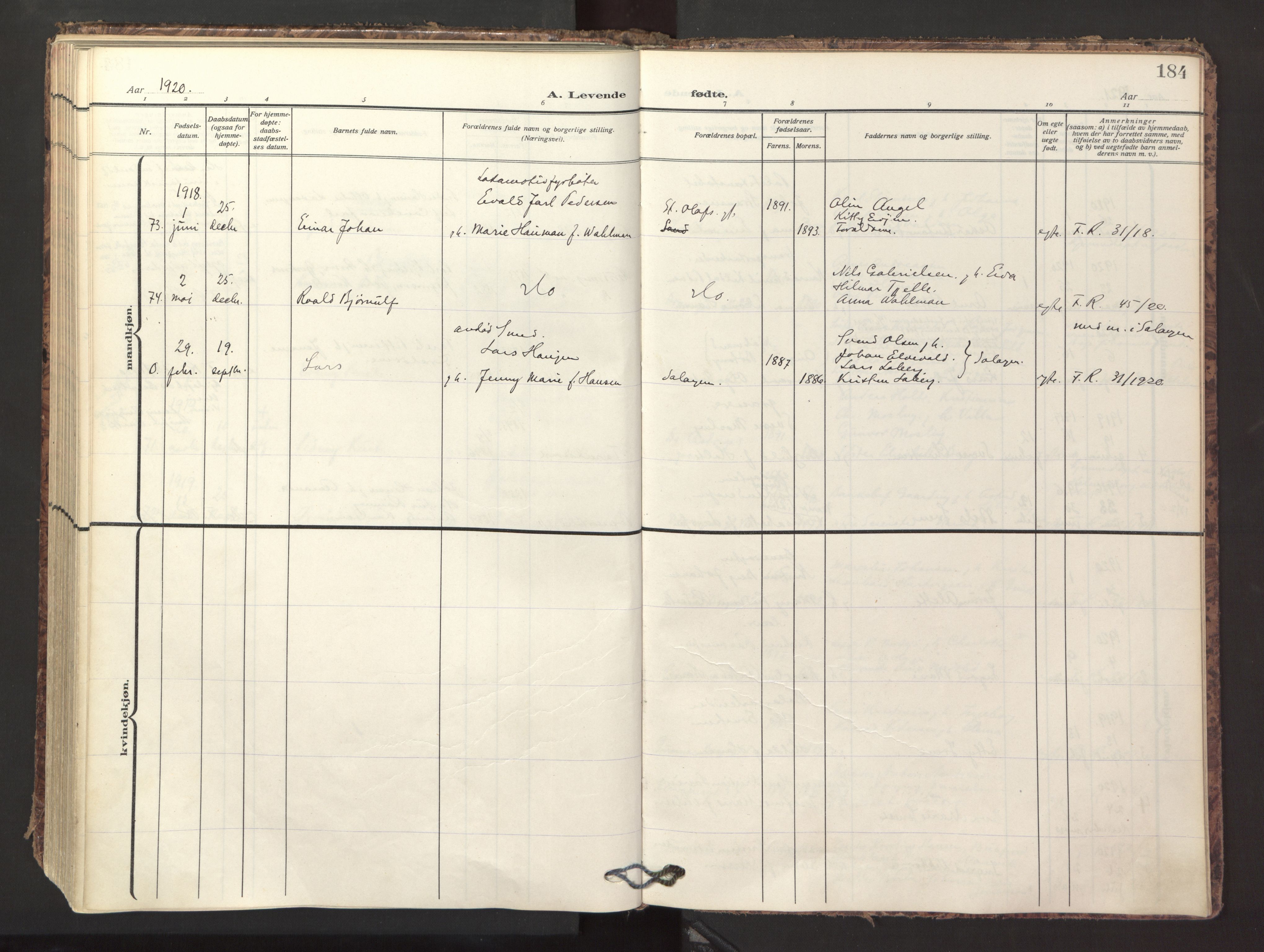 Ministerialprotokoller, klokkerbøker og fødselsregistre - Nordland, SAT/A-1459/871/L1001: Parish register (official) no. 871A17, 1911-1921, p. 184