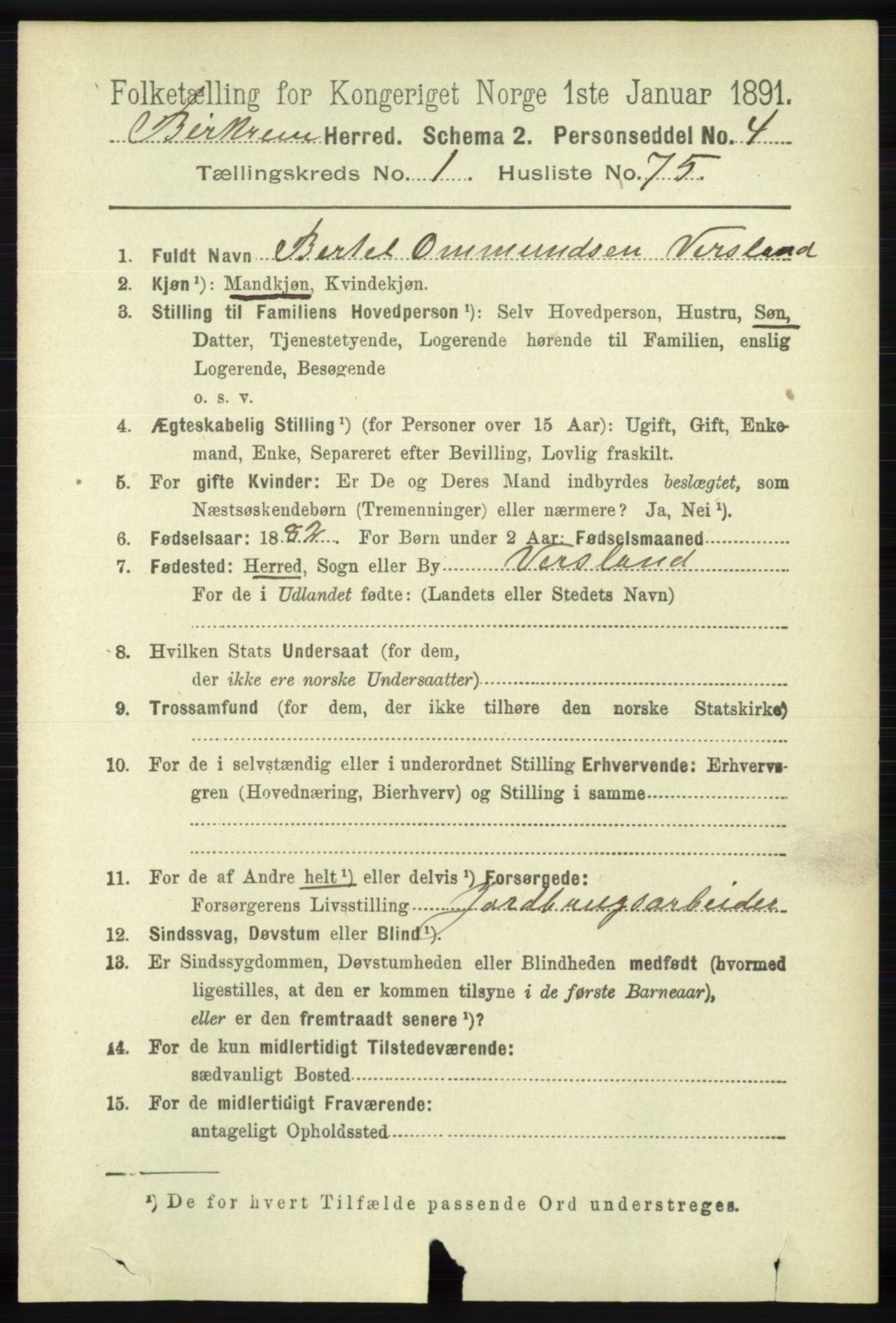 RA, 1891 census for 1114 Bjerkreim, 1891, p. 517