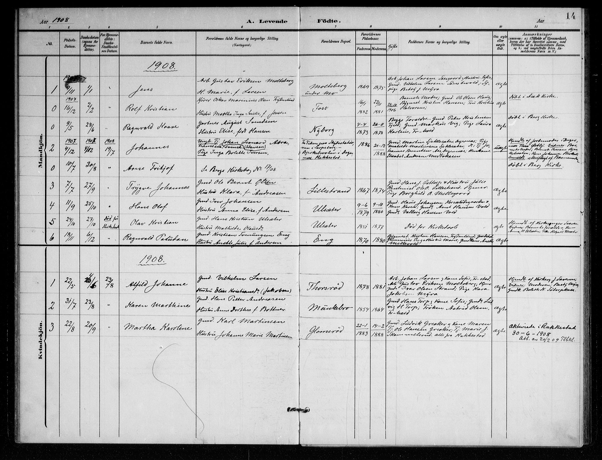 Berg prestekontor Kirkebøker, AV/SAO-A-10902/F/Fc/L0003: Parish register (official) no. III 3, 1902-1916, p. 14